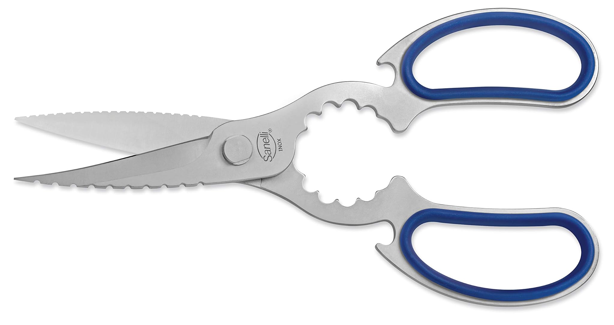 Sanelli Forbice Professionale Cucina Pesce, Acciaio Inossidabile, Multi