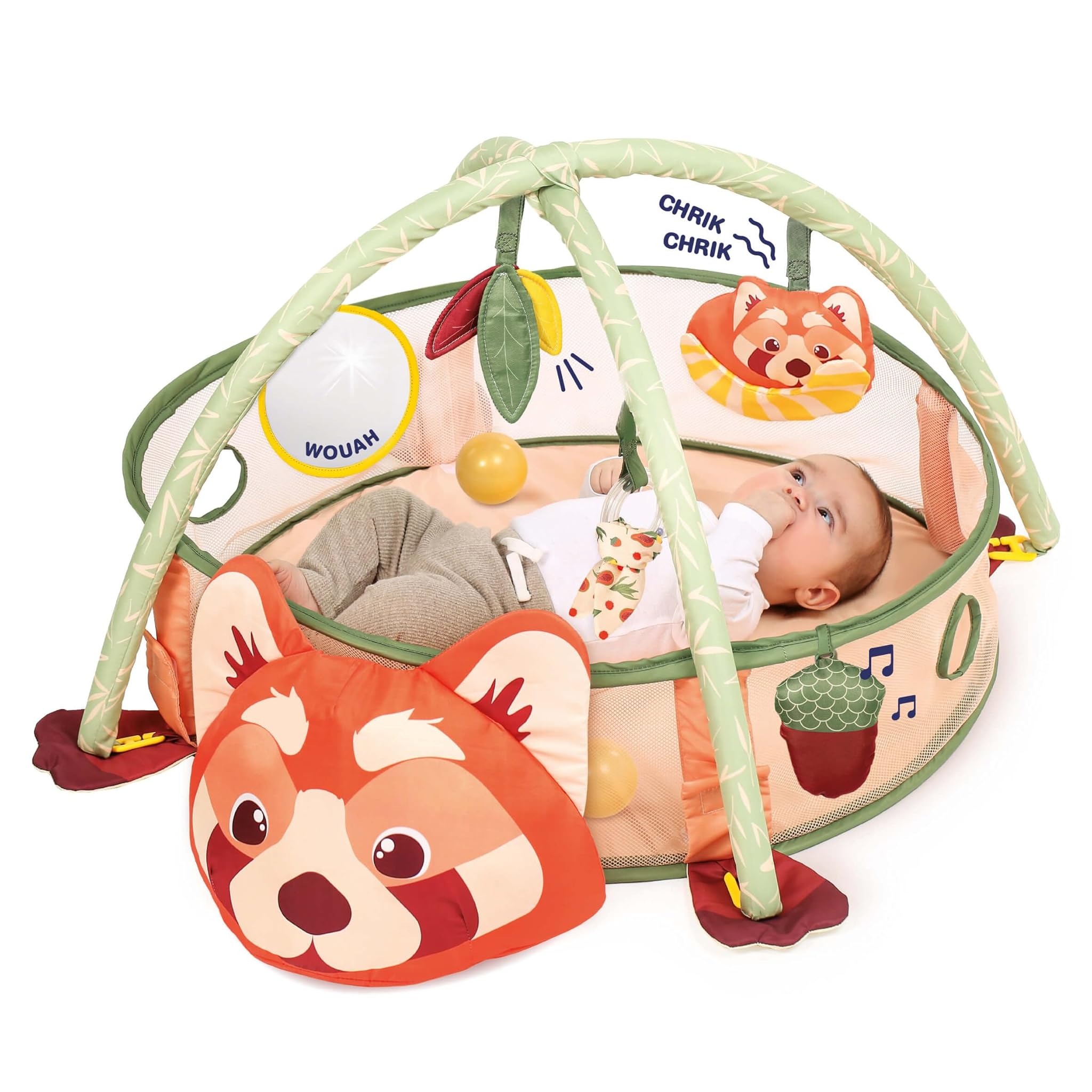 Ludi- Area di Risveglio e Piscina, 20024