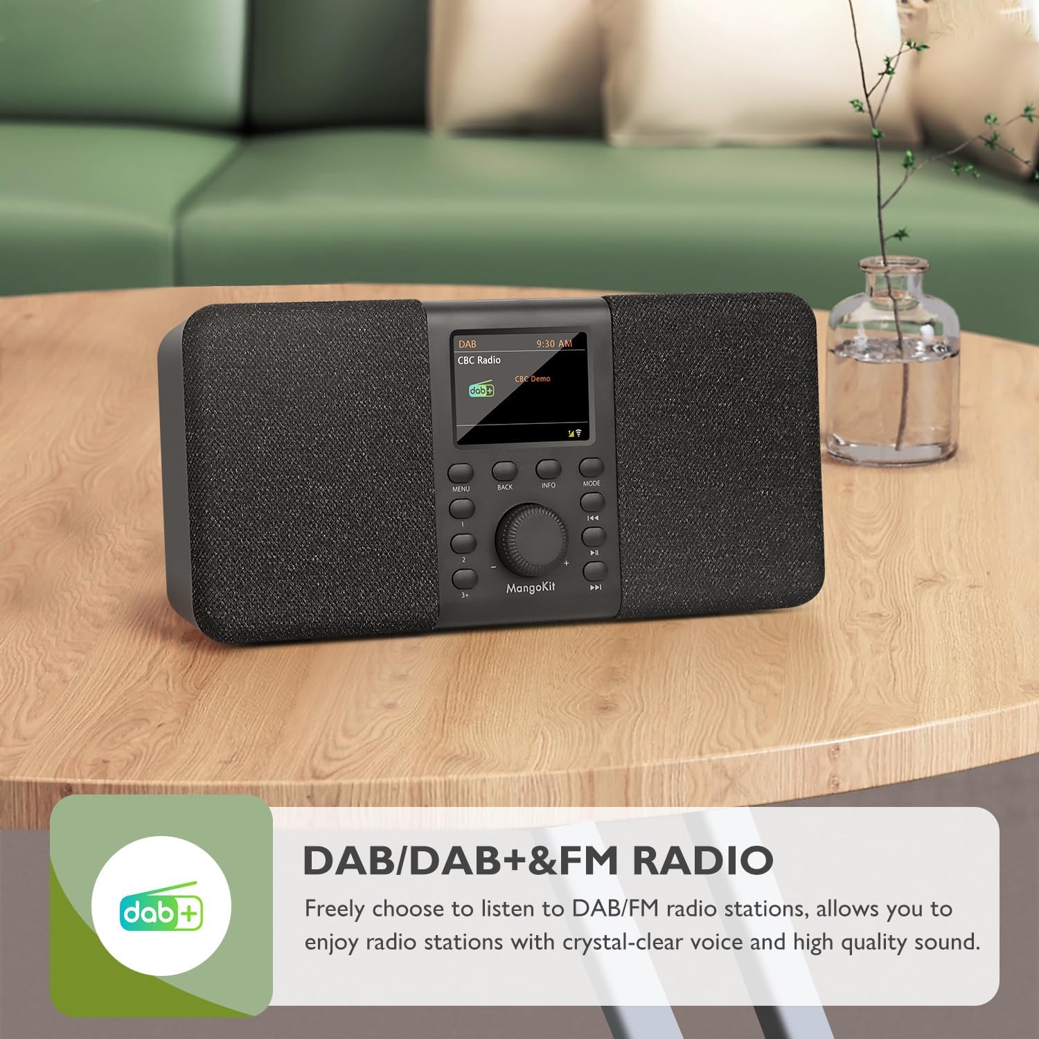 Mangokit SR20 Internet Radio WIFI e Bluetooth, Nero - immagine 4