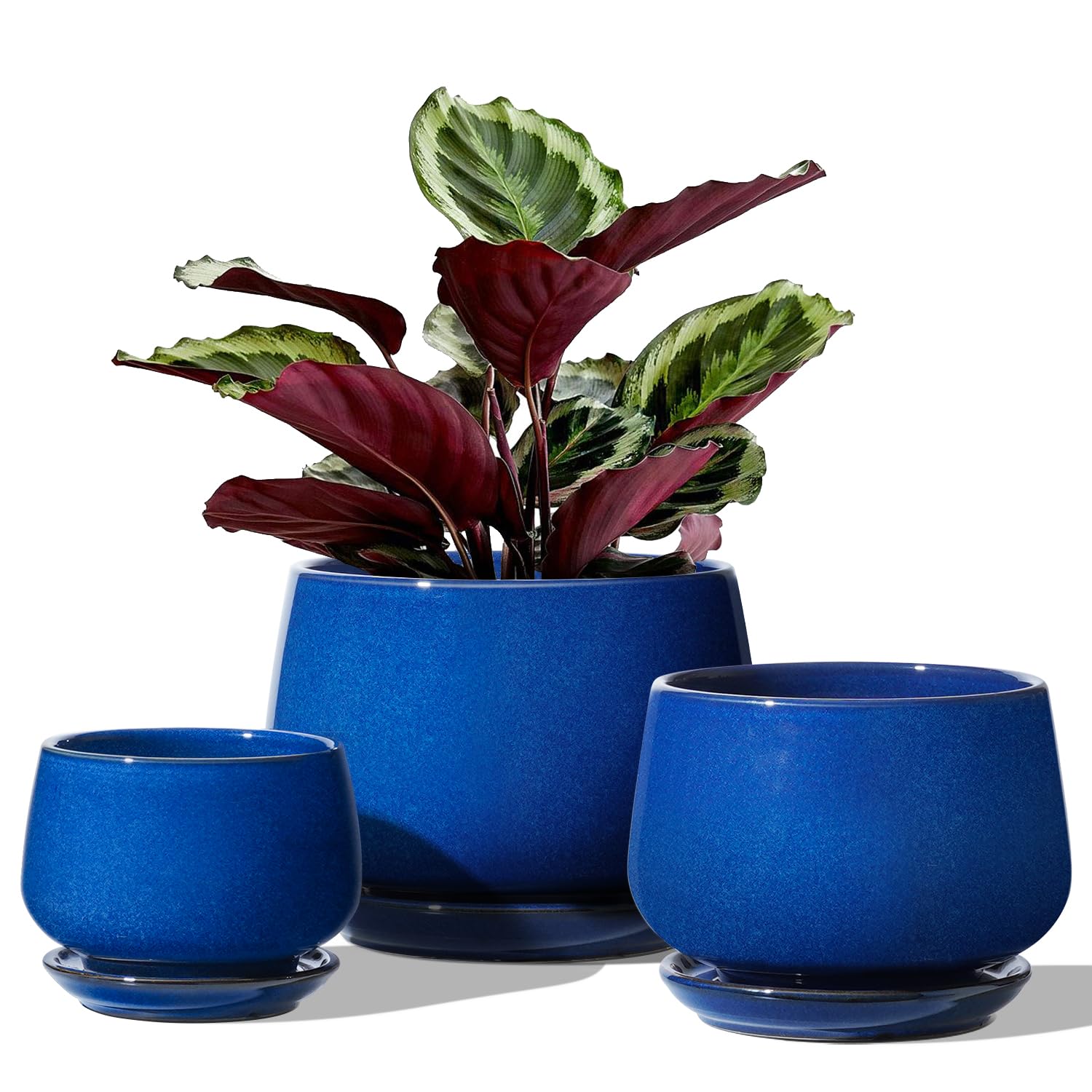 LE TAUCI Set Di 3 Vaso Per Piante In Ceramica, 10+13+16 cm Vaso per Piante da Interno Con Foro Di Drenaggio E Piattino, Vaso Da Fiori Per Interni Con Foro In Rete, Regalo Per Mamma, Blu Zaffiro