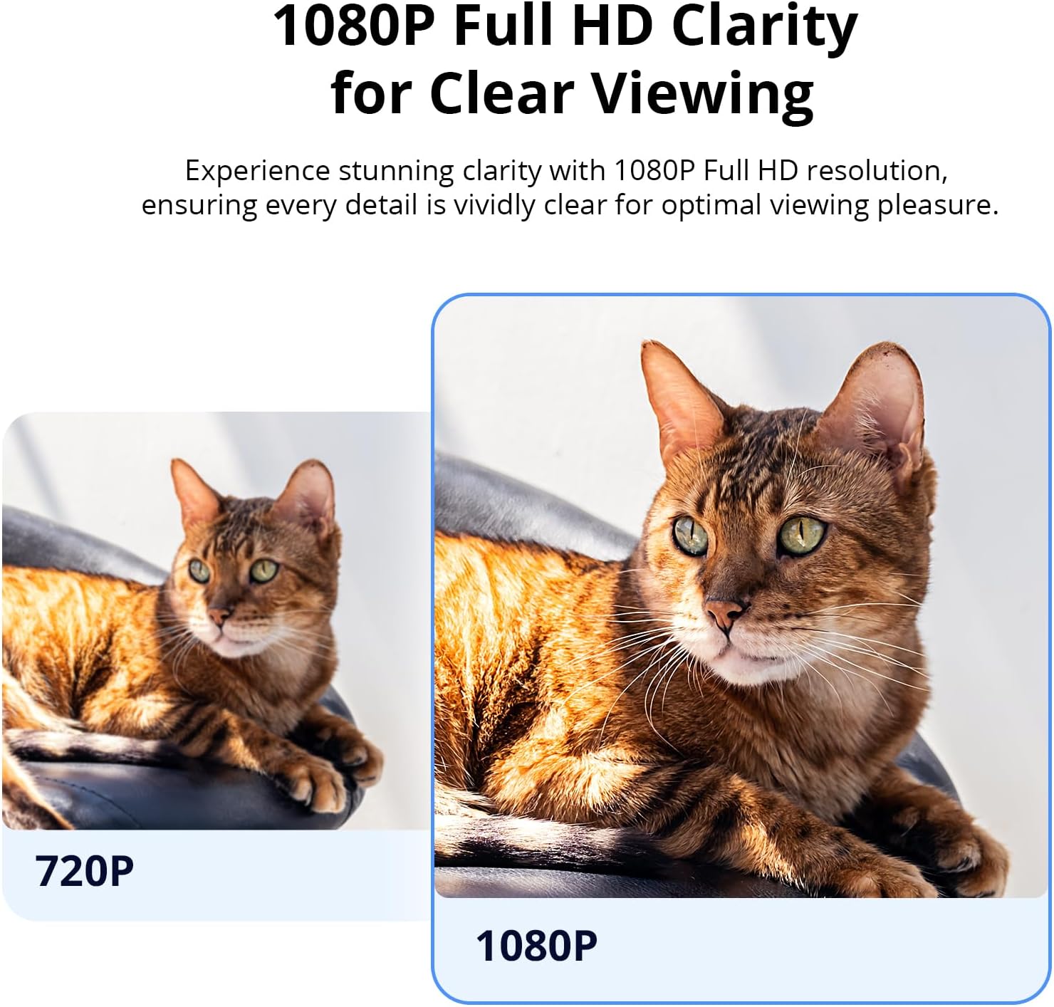 Sonoff Telecamera di Sicurezza Interna 1080p - immagine 3