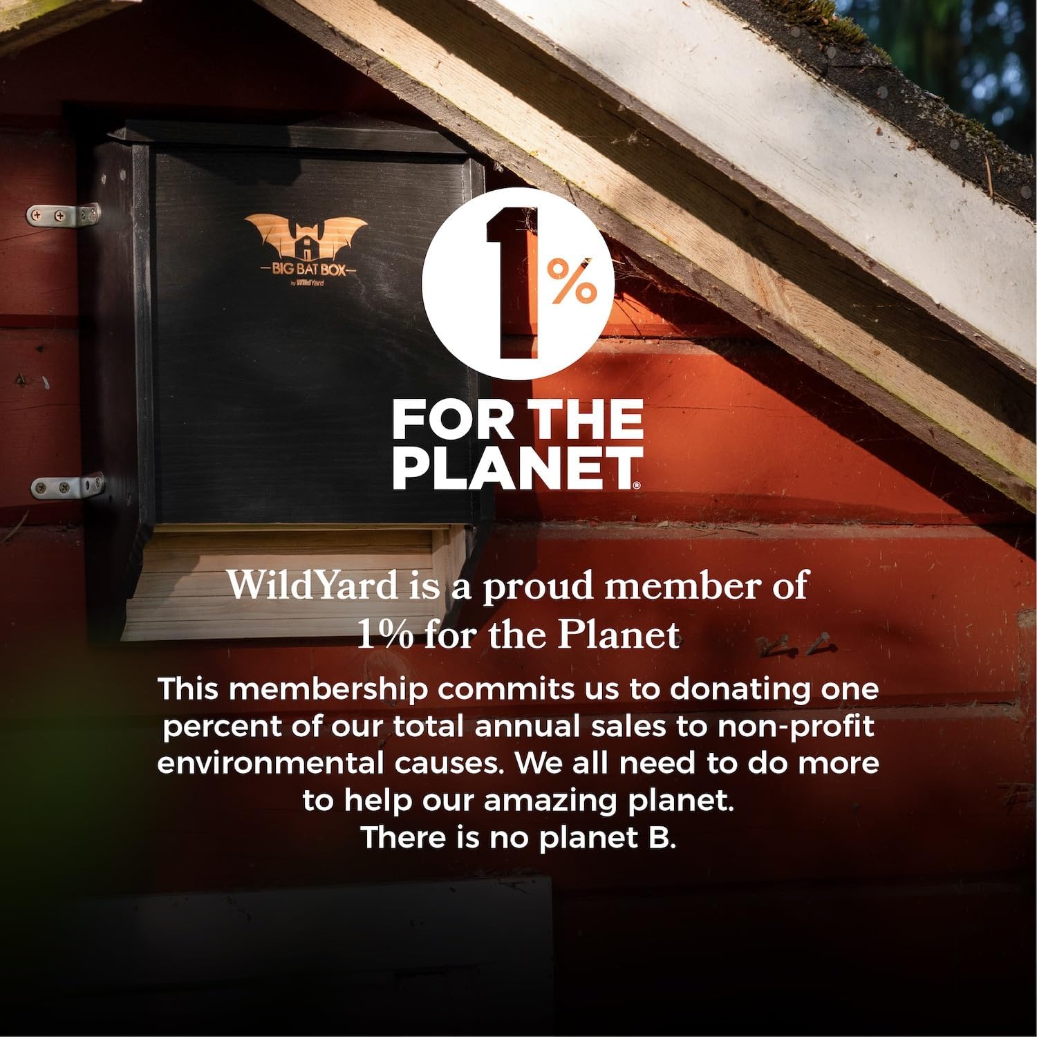 Wildyard Bat House For Outdoors - Casa Nera per Pipistrelli - immagine 6