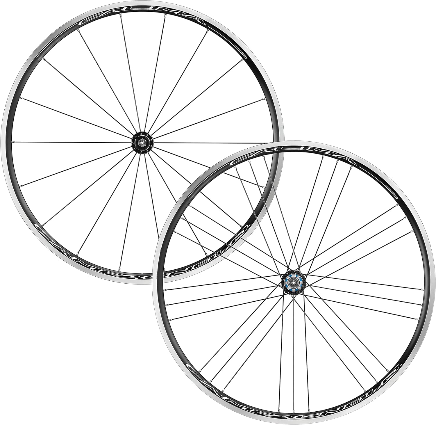 Campagnolo Calima C17 Ruota Copertoncino, Bright Label, 28" - immagine 2