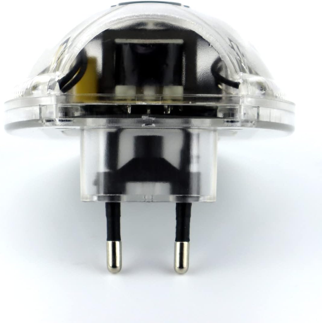 MOSQUITOS ARAÑAS Y OTROS INSECTOS - immagine 5