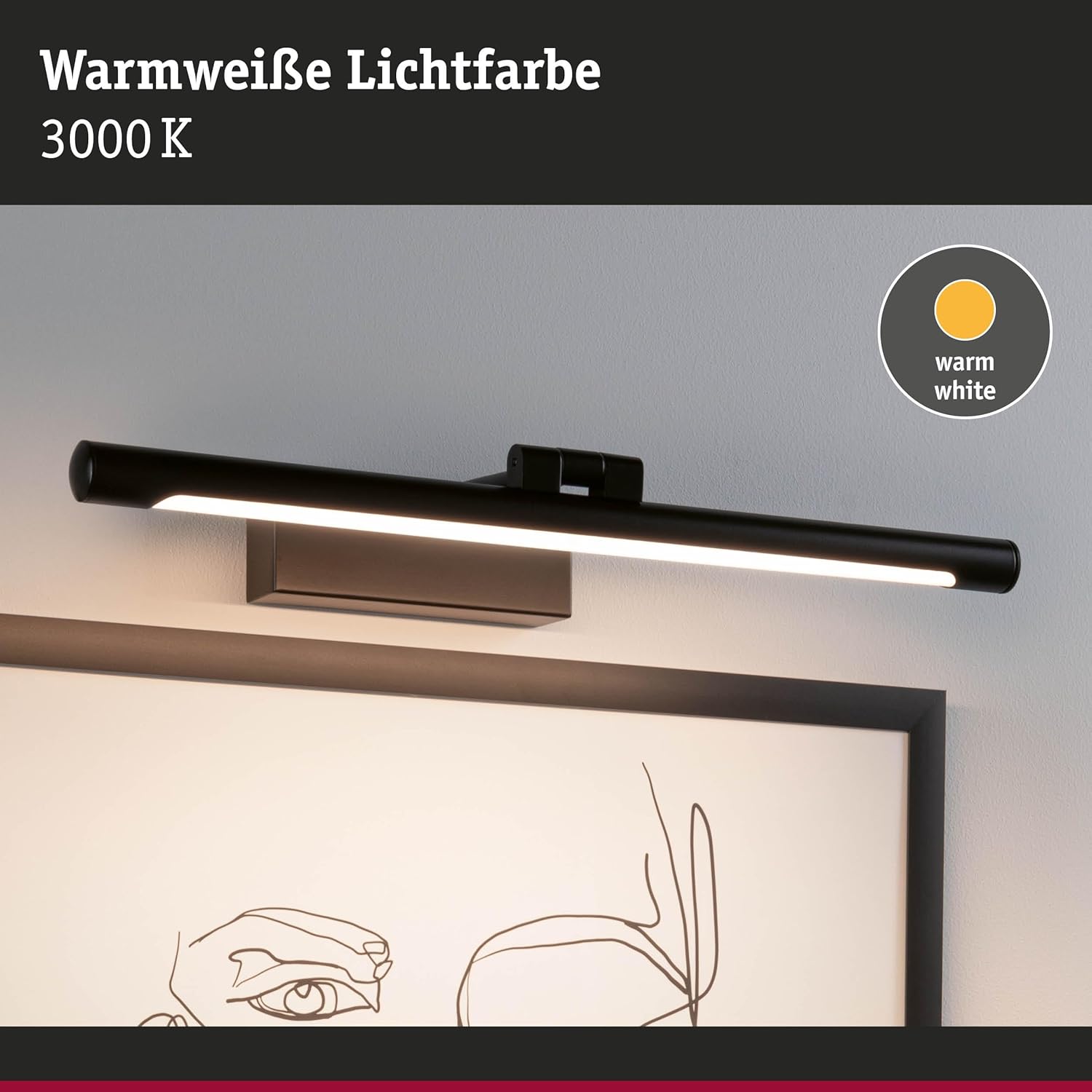 Paulmann 95564 Luce LED Mingo 400mm, Nero - immagine 3