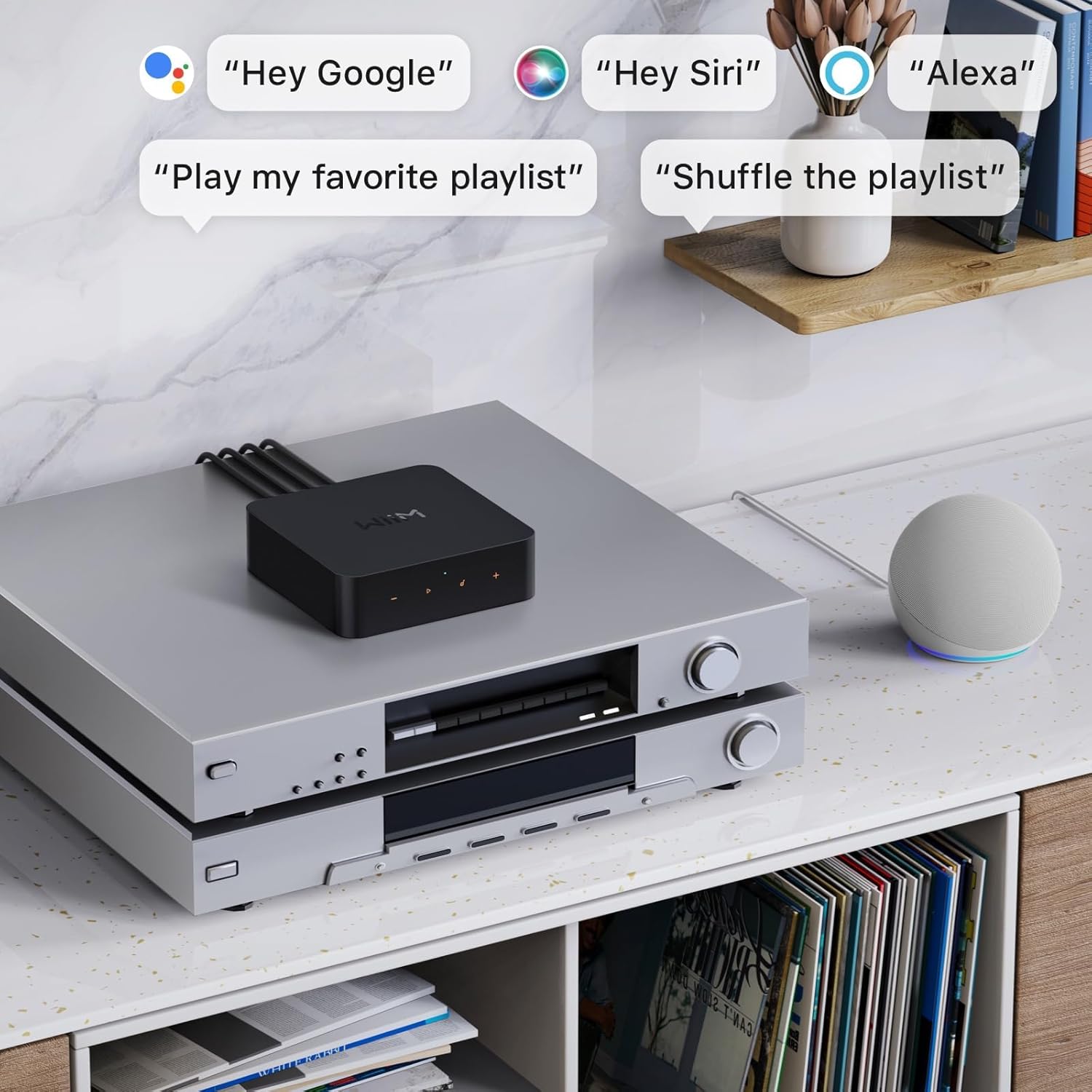 Wiim Pro Plus - Ricevitore AirPlay 2 e Streamer WiFi - immagine 8