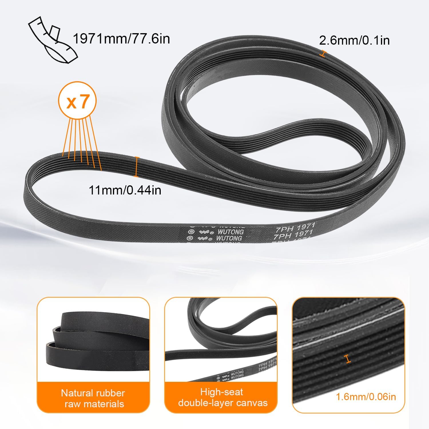 Cinghia Asciugatrice Poly-V 1971 PH 7 - immagine 2