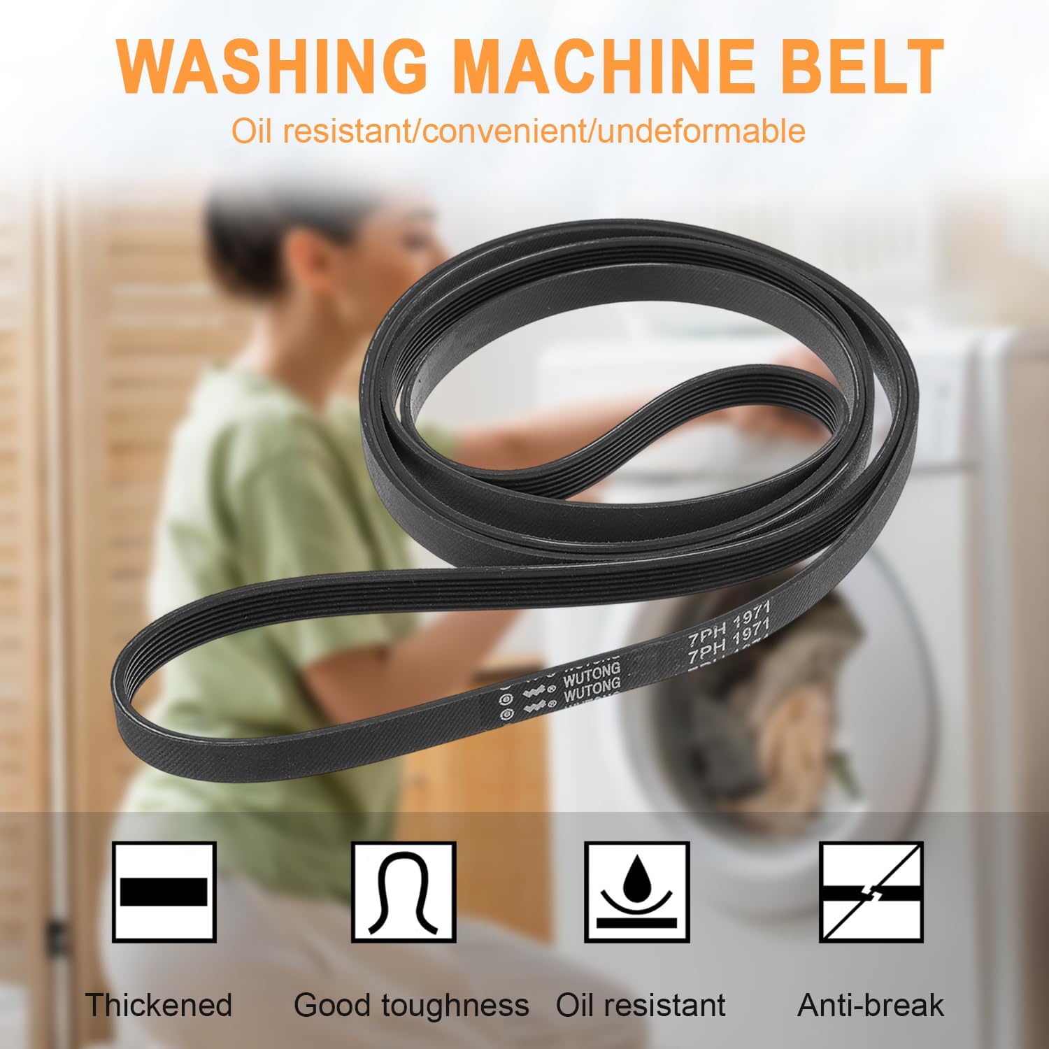 Cinghia Asciugatrice Poly-V 1971 PH 7 - immagine 4