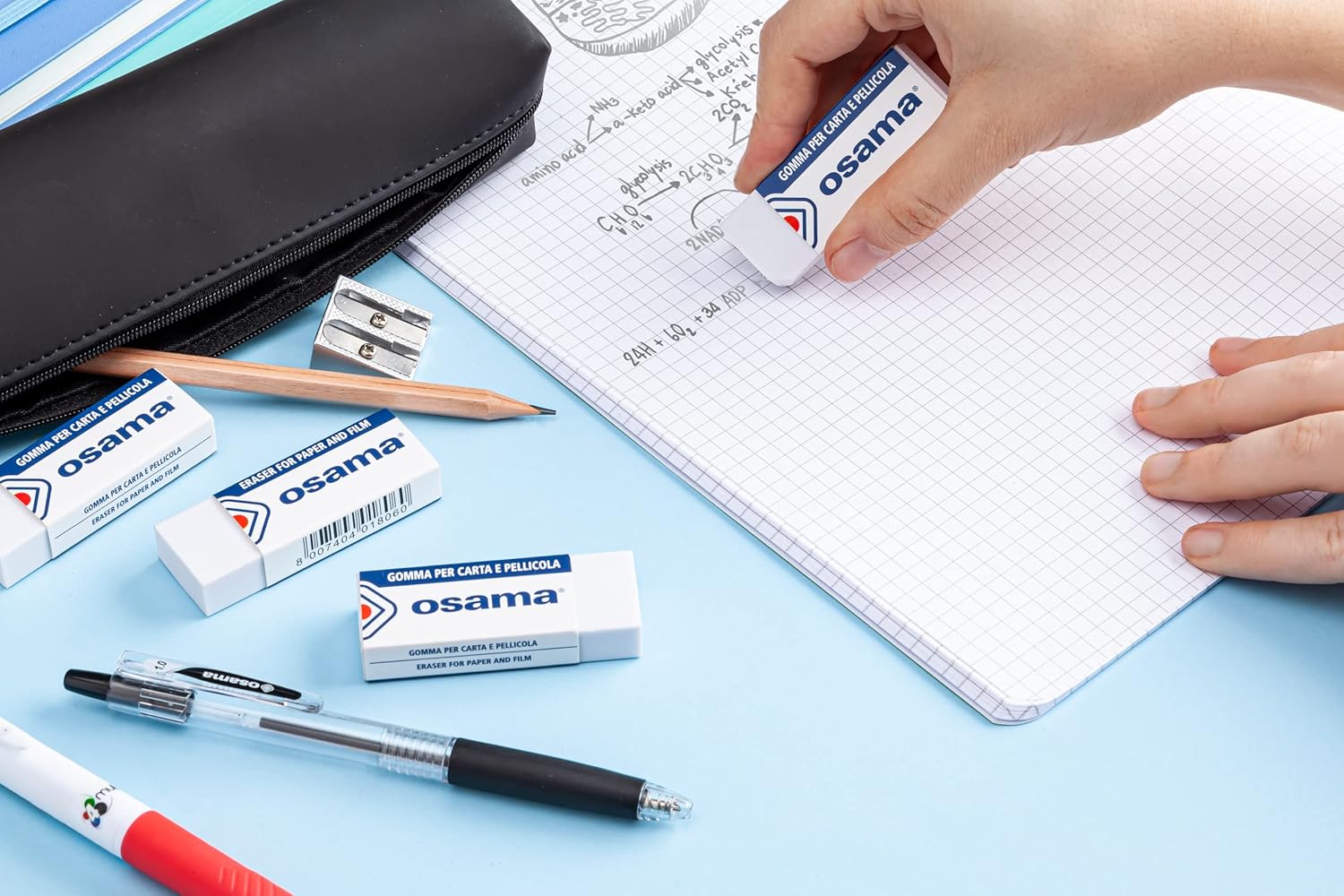 Osama - Gomme da Cancellare Set da 8 Pezzi - immagine 3