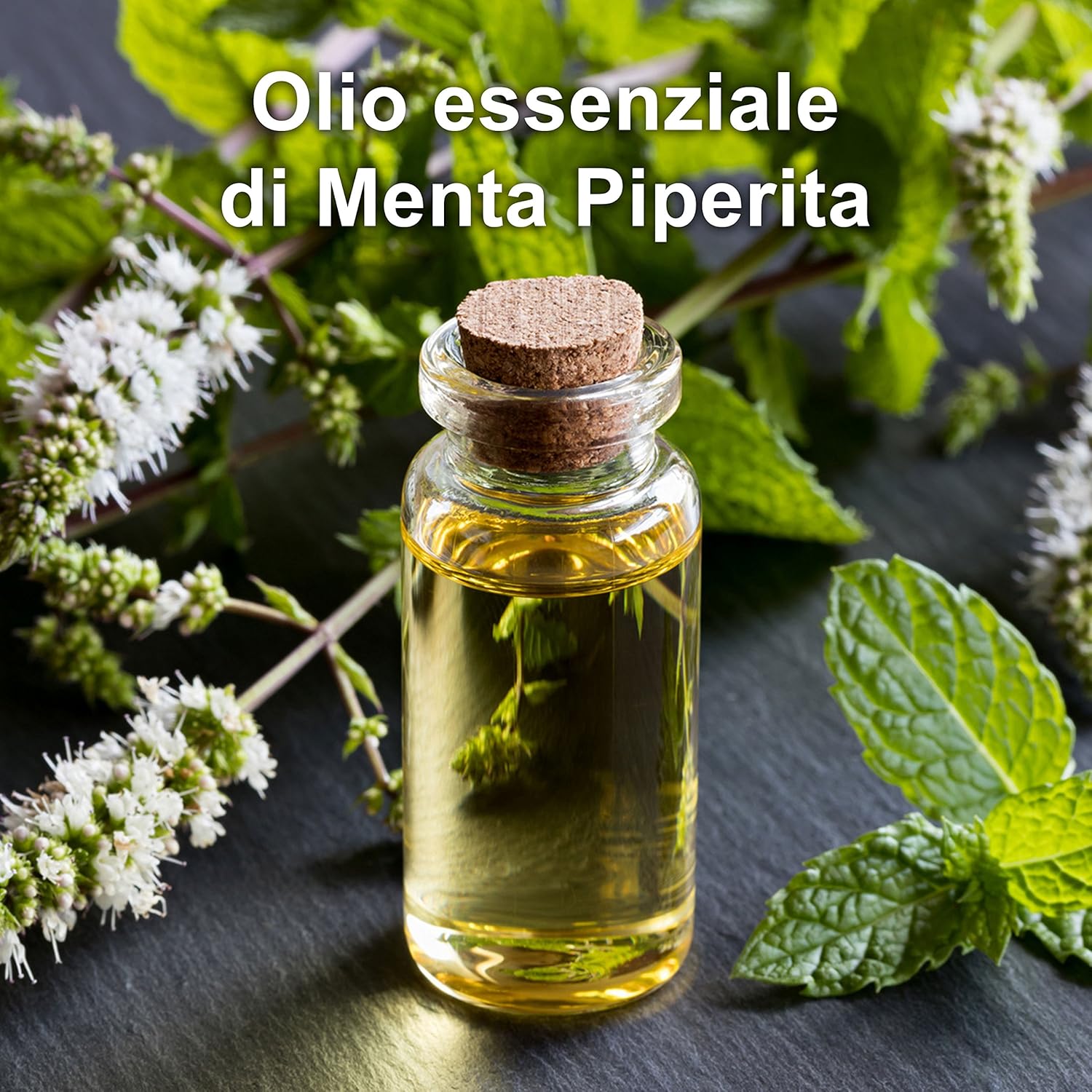 Olio Essenziale Menta Piperita 30 ML 100% Puro Bio - immagine 4