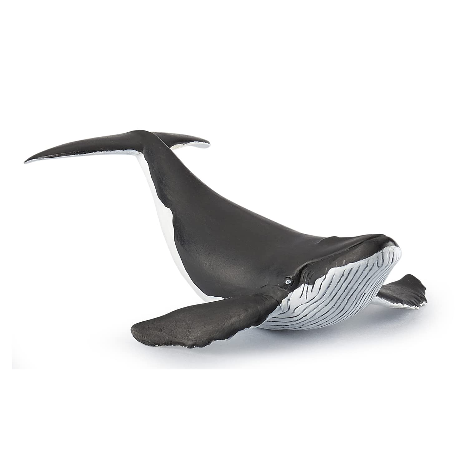 Papo - Statuetta Cucciolo di Balena Realistica - 3 Anni + - Collezione Universo Marino - Gioco Educativo Mammiferi Marini - Idea Regalo Giocattolo Bambina Bambino - 14 Cm X 9 Cm X 4 Cm