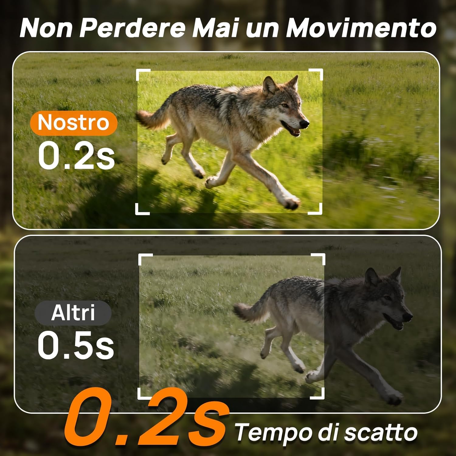 Izeeker Fototrappola Solare 4G LTE 48MP con SIM e SD 64GB - immagine 7