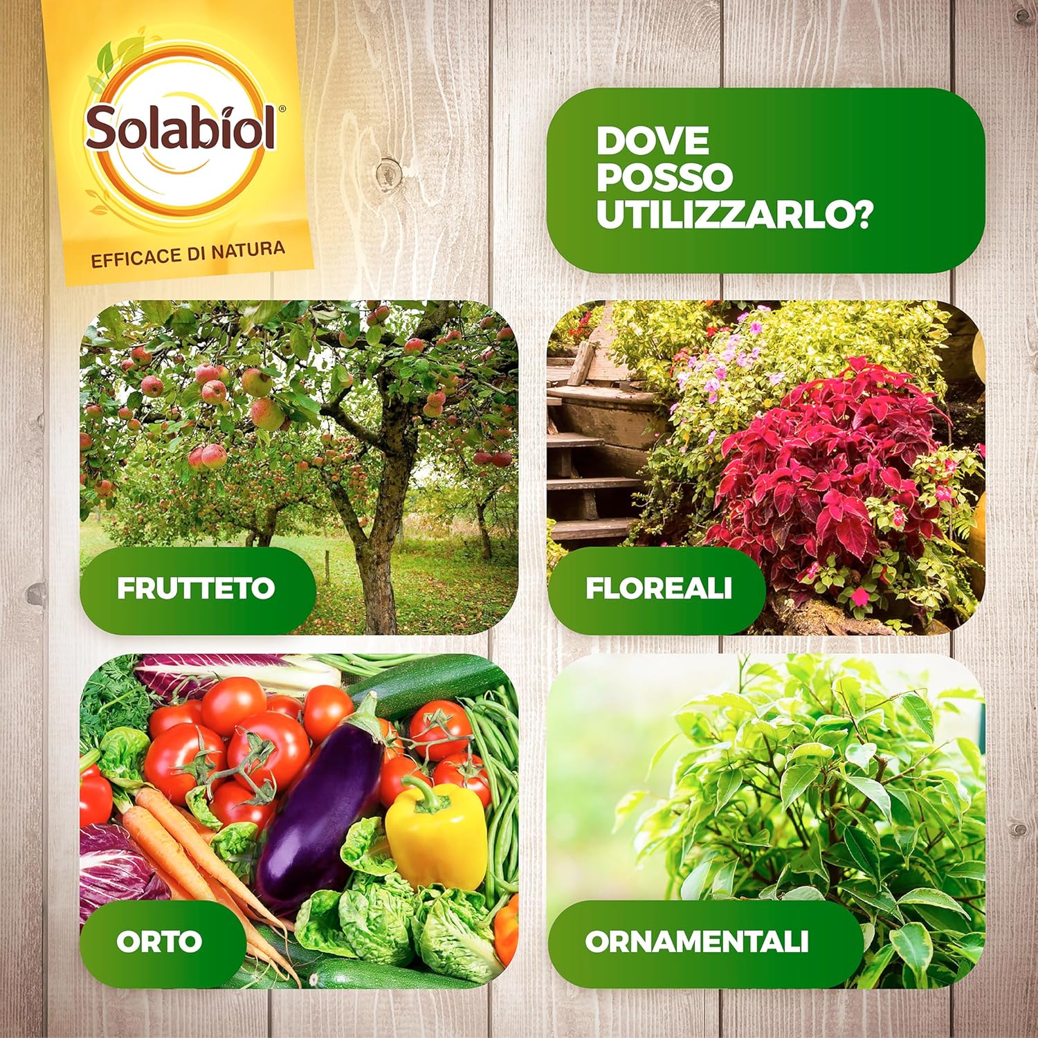 Solabiol Olio Bianco Vegetale di SOIA Concentrato 1 LT - immagine 4
