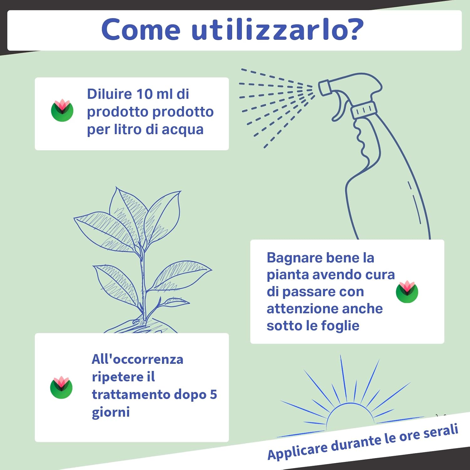 Fitokem - Sapone Molle Potassico per Piante (1 Litro) - immagine 6