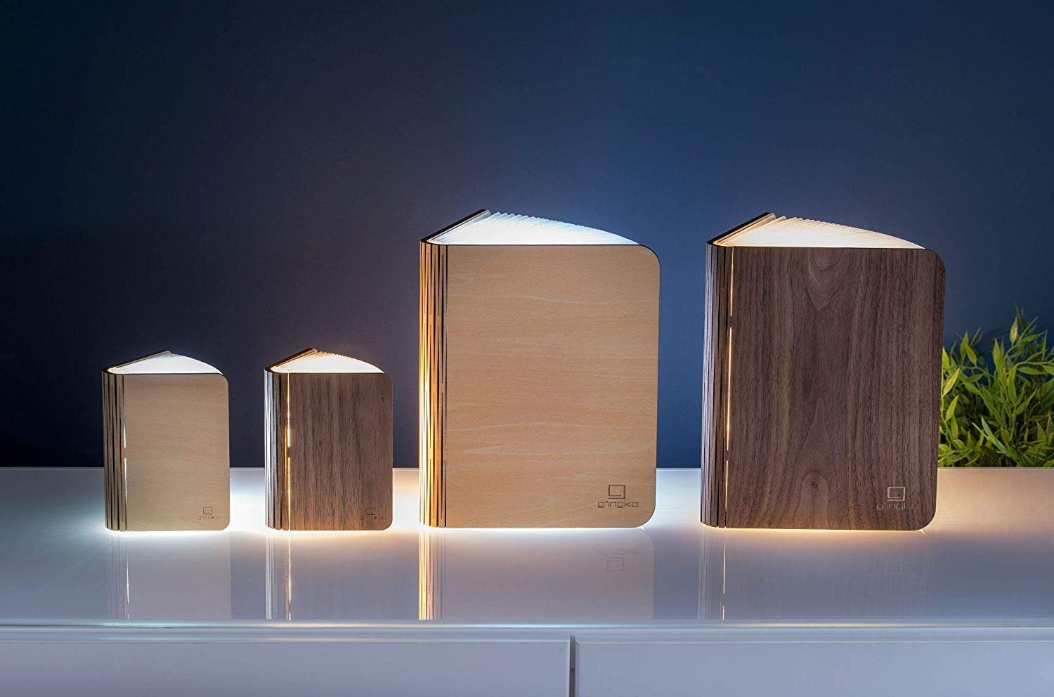 Gingko Smart Book Light in Legno Naturale - Noce - immagine 6