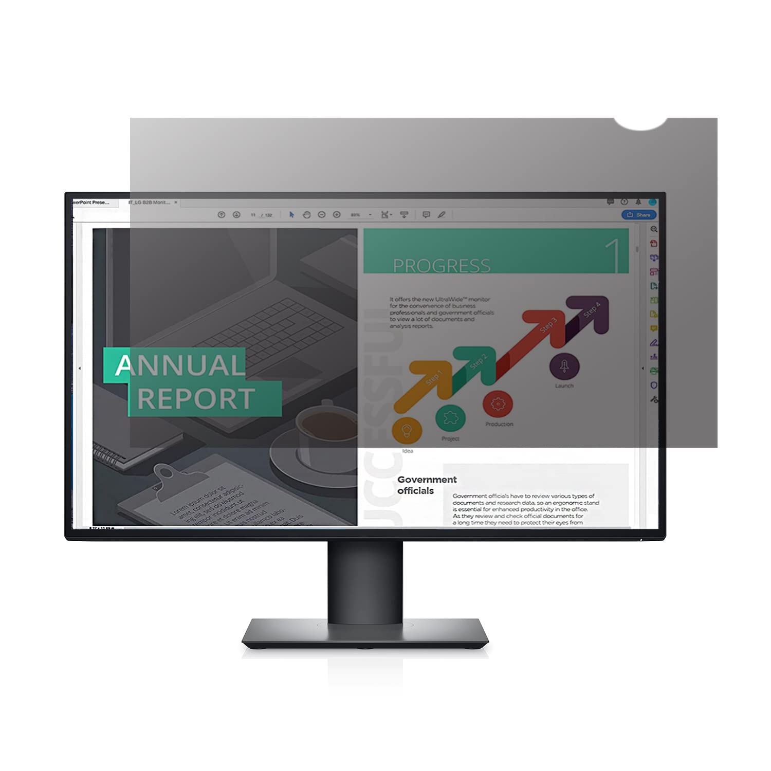 Lonkenn Filtro Privacy Premium 24 Pollici Widescreen 16:9