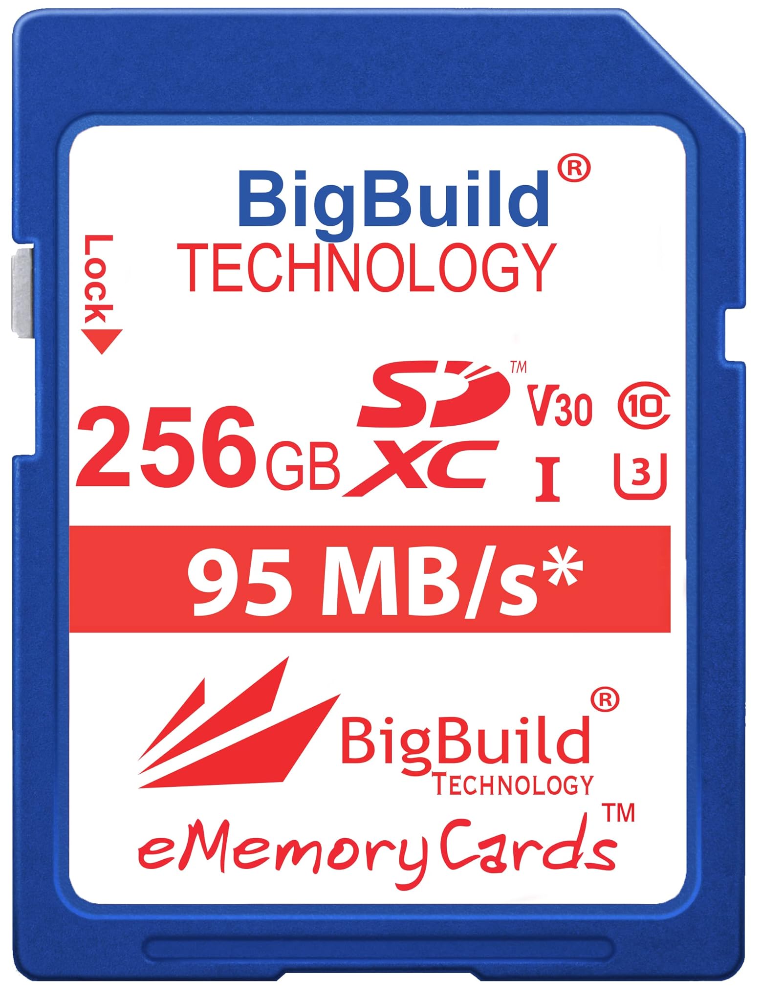Scheda di Memoria SDXC U3 256GB Bigbuild Technology