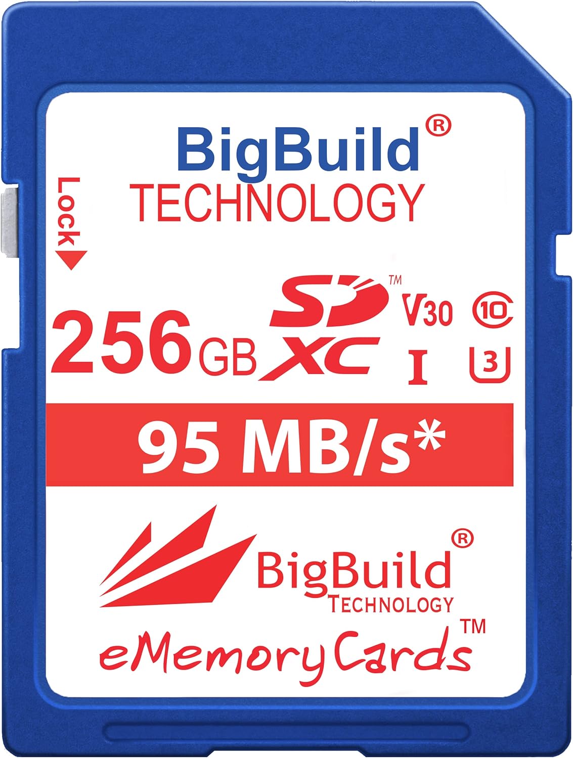 Scheda di Memoria SDXC U3 256GB Bigbuild Technology - immagine 1