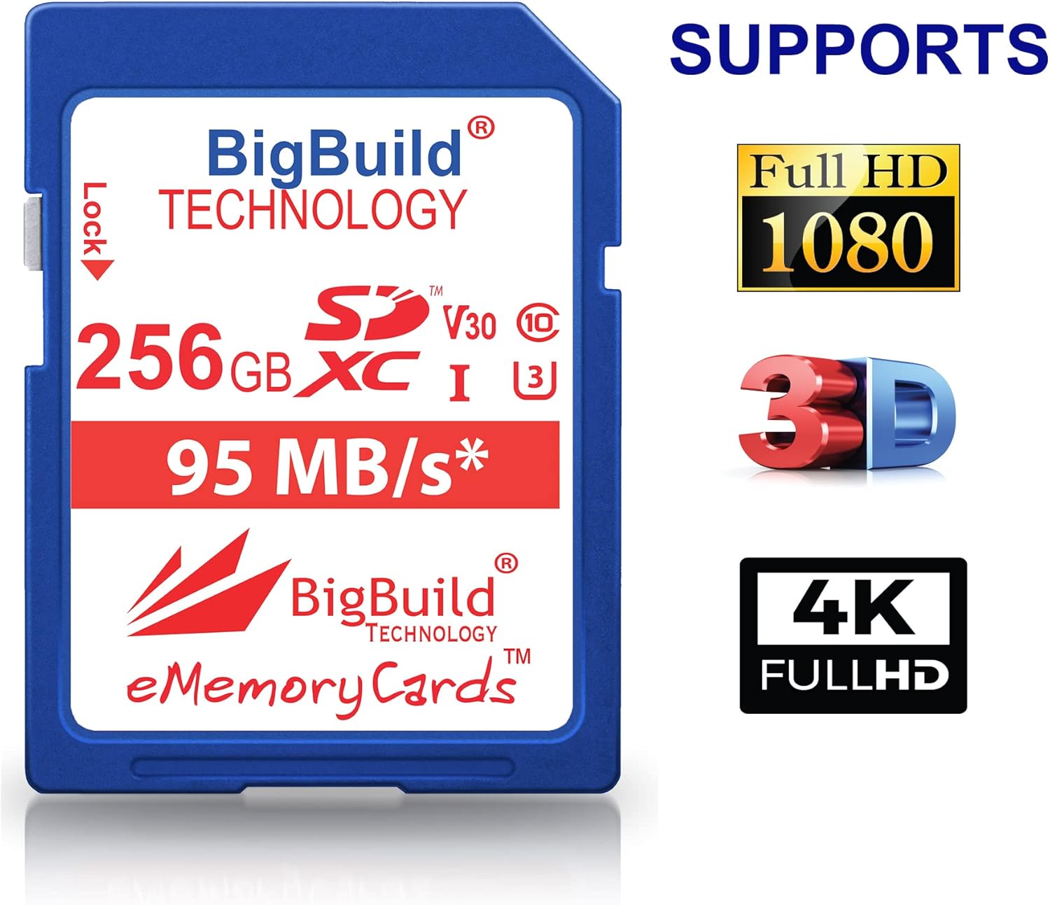 Scheda di Memoria SDXC U3 256GB Bigbuild Technology - immagine 3