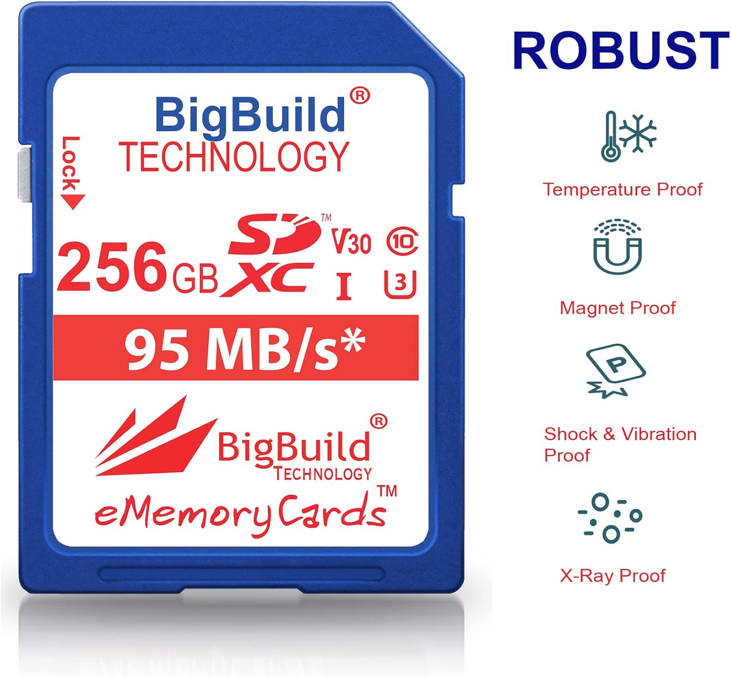 Scheda di Memoria SDXC U3 256GB Bigbuild Technology - immagine 4