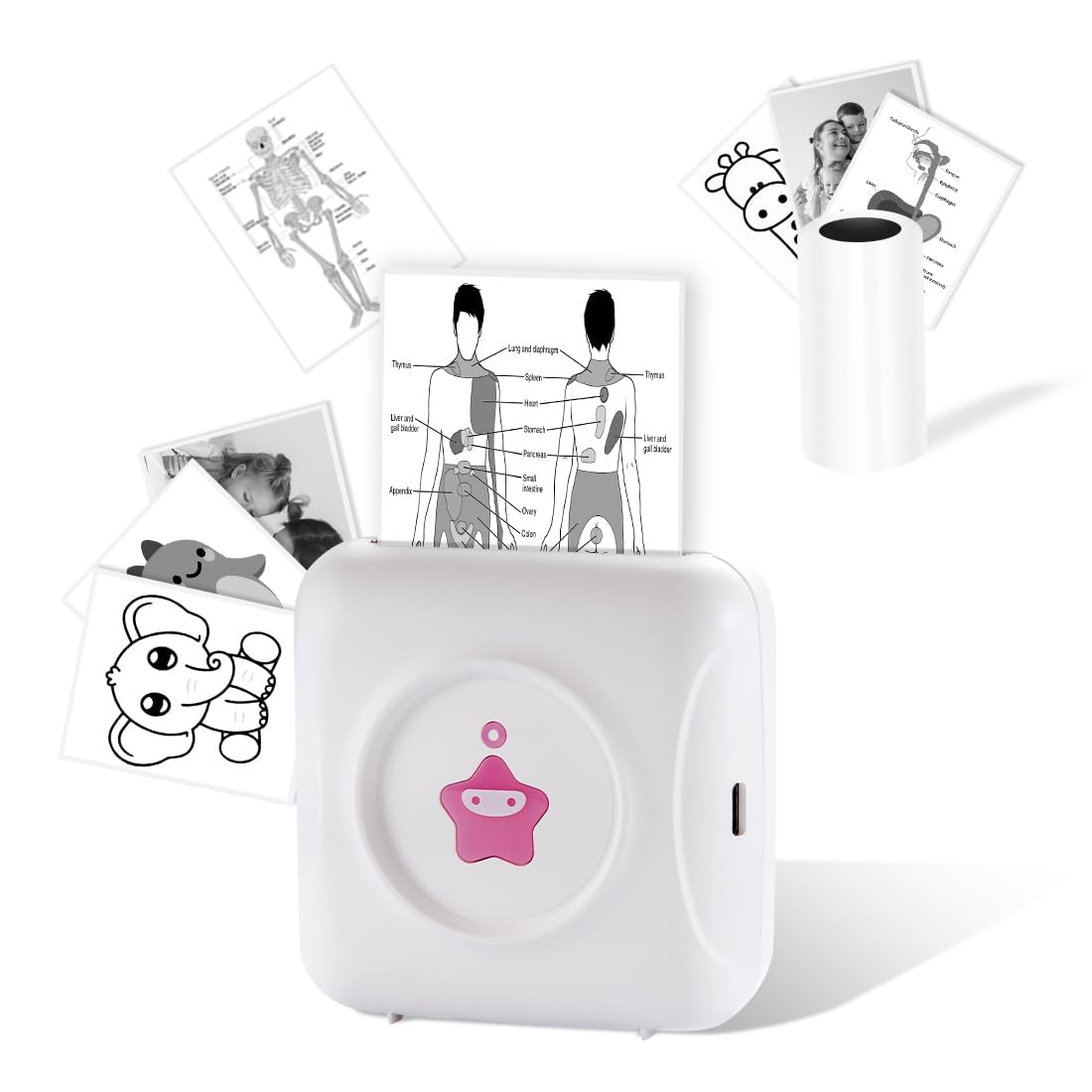 Vretti Mini Stampante Termica TP2-Y per Adesivi