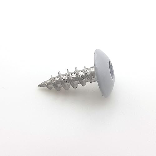 Vite per penture 6 x 20 mm RAL 9006 alluminio bianco Inox A2 da 50
