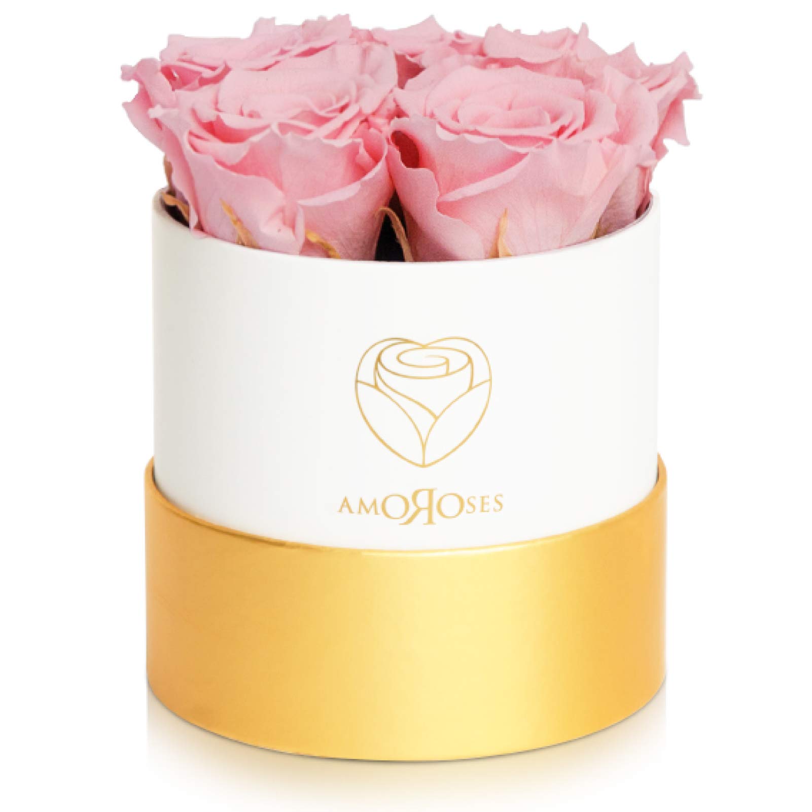 Amoroses Petite - Confezione Regalo 5 Rose Stabilizzate