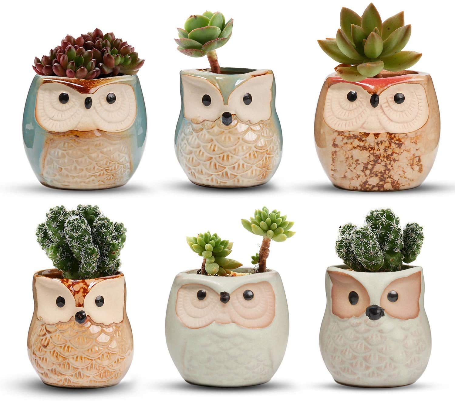 Voarge Vasi in Ceramica a Gufo (6 Pezzi)