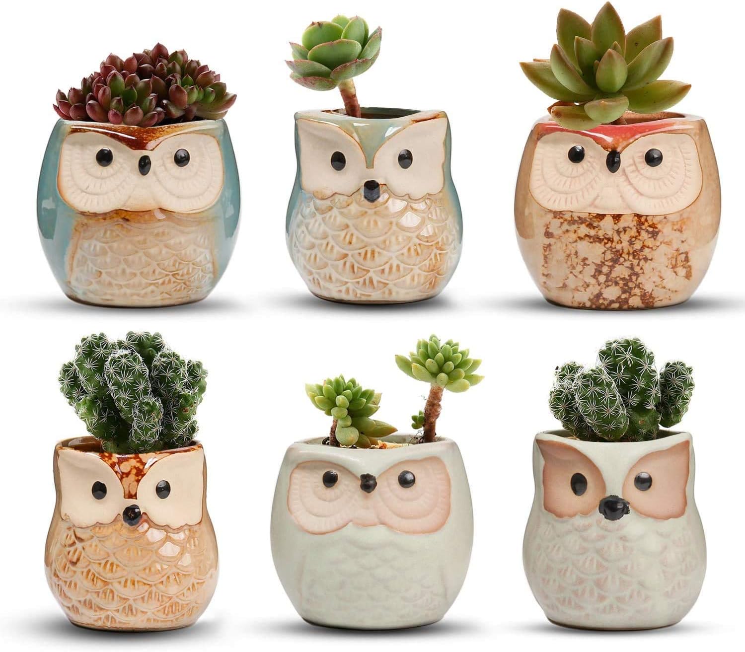 Voarge Vasi in Ceramica a Gufo (6 Pezzi) - immagine 1