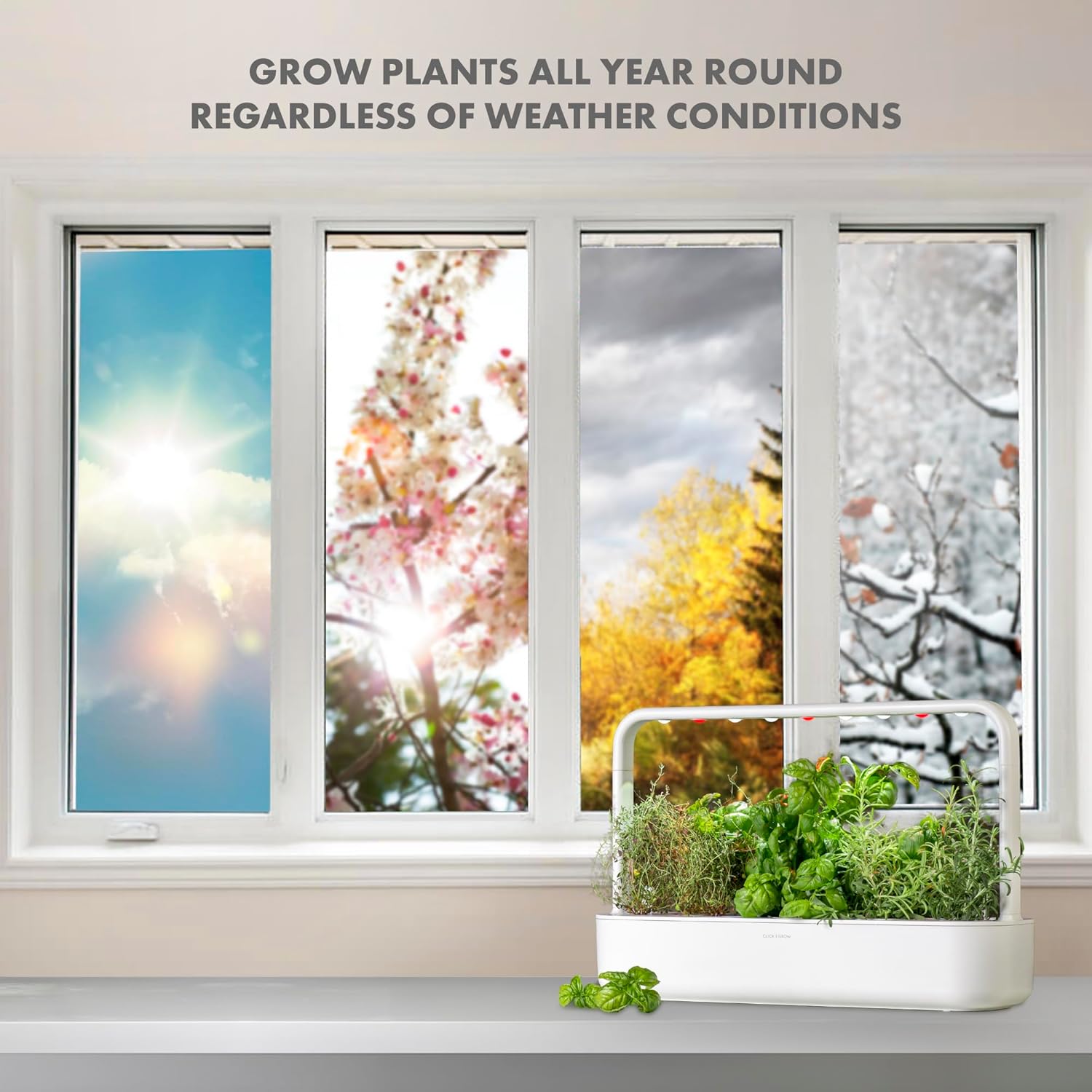Click & Grow Smart Garden - Orto da Interno 9 Capsule - immagine 6