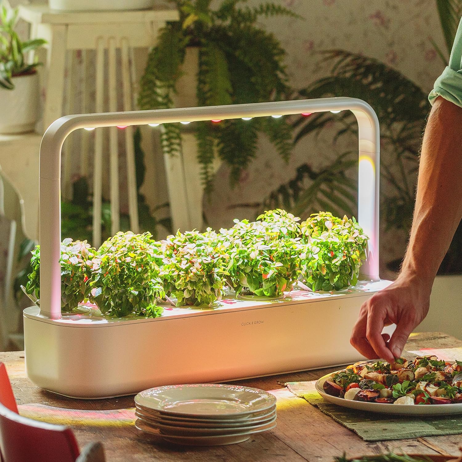 Click & Grow Smart Garden - Orto da Interno 9 Capsule - immagine 8