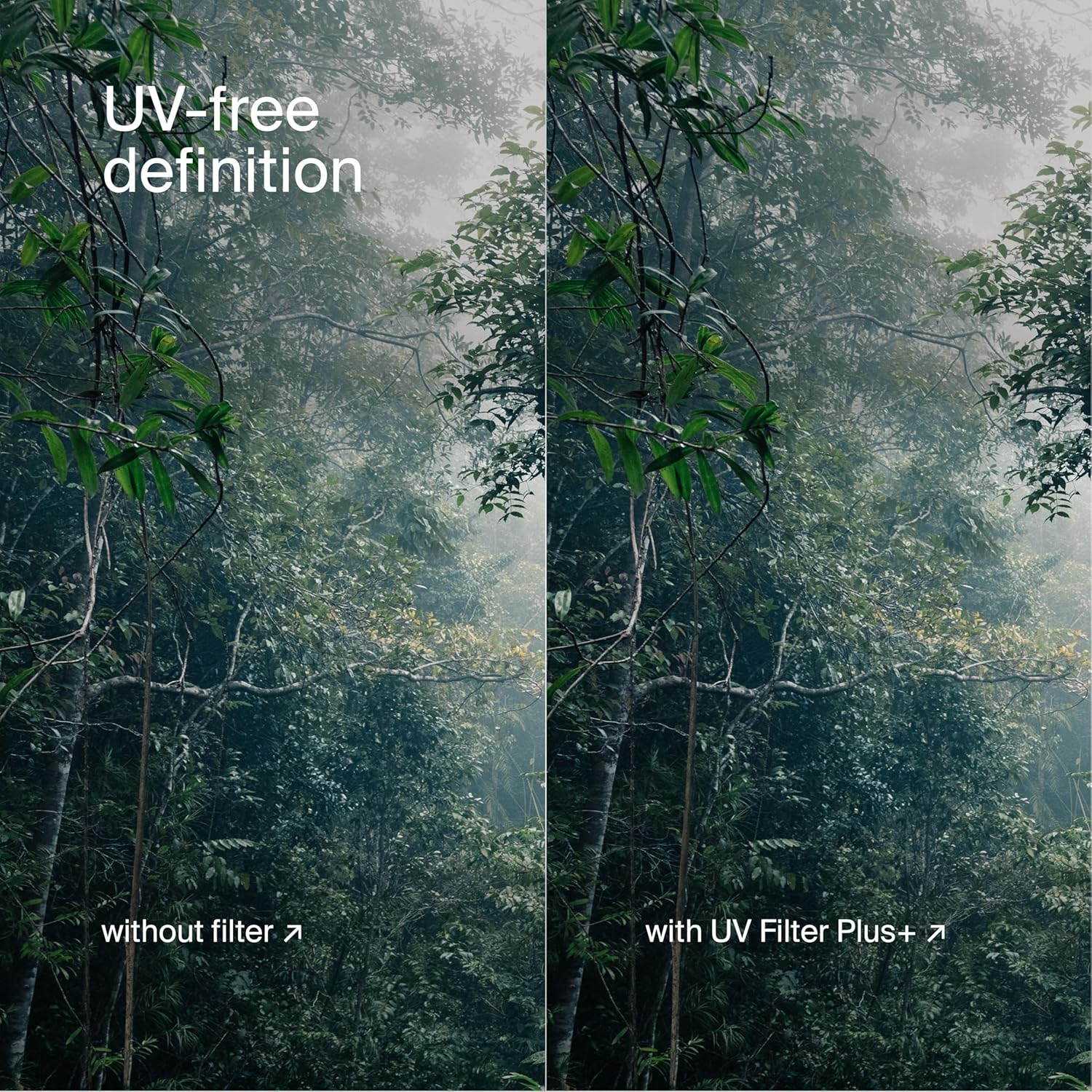 Urth UV Lens Filter (Plus+) (105mm, Avvitare) - immagine 6