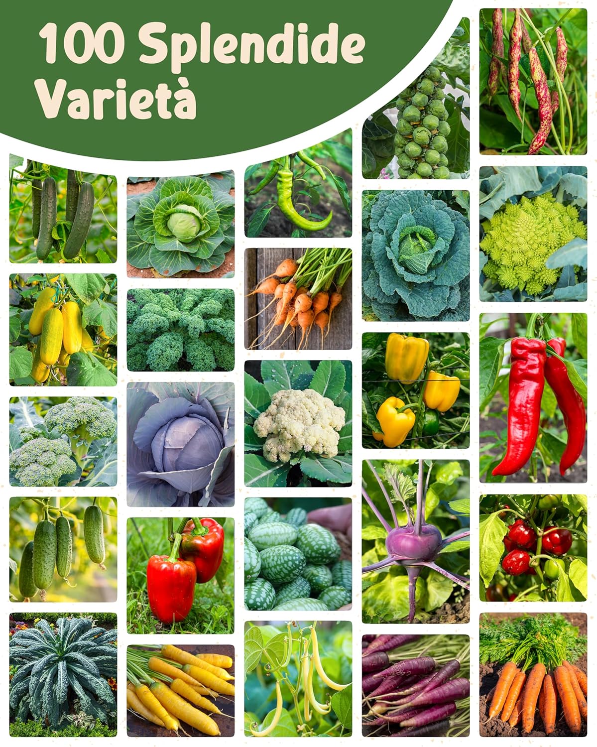 Set di Semi Bio Erbe Aromatiche e Ortaggi (100 pezzi) - immagine 10