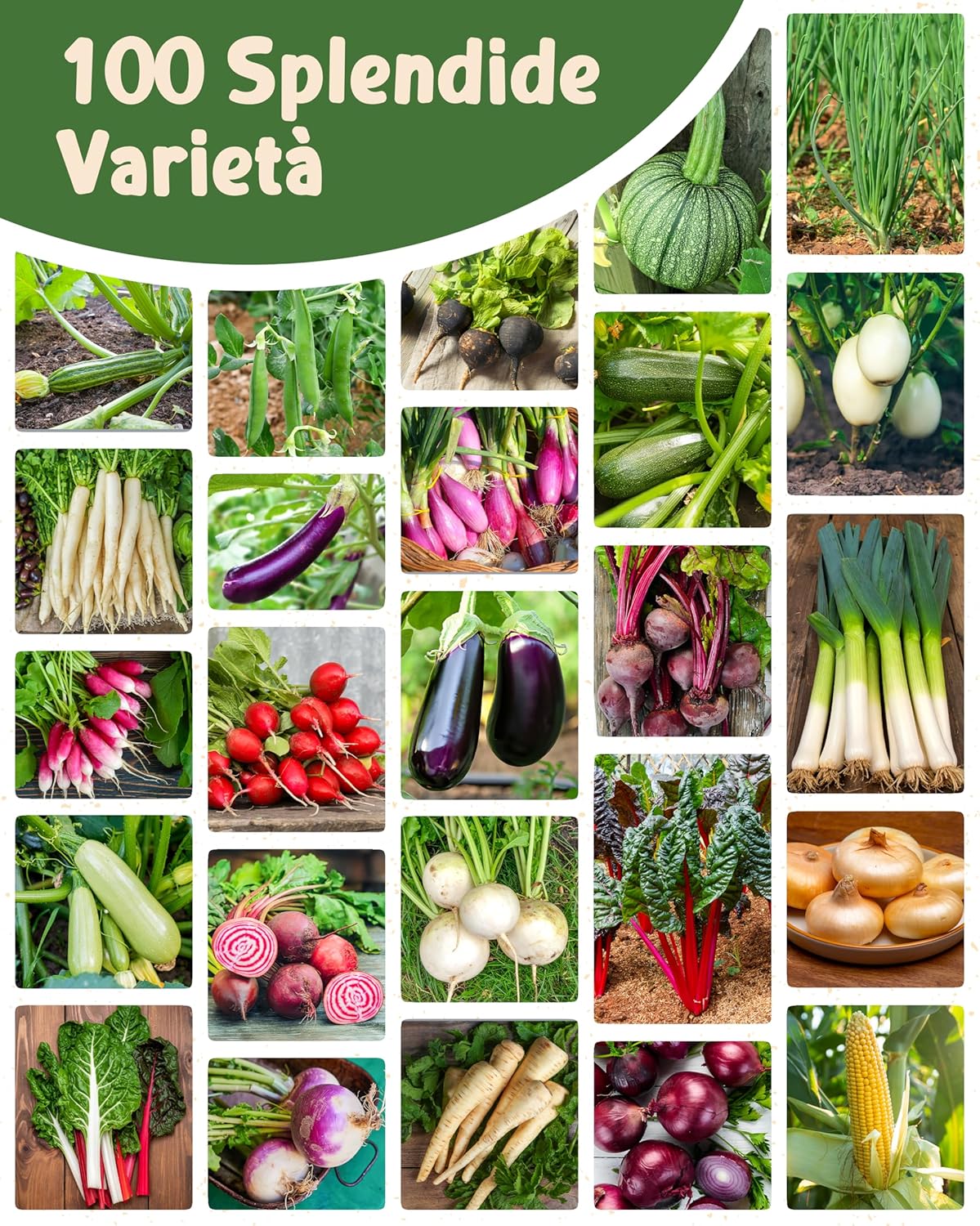 Set di Semi Bio Erbe Aromatiche e Ortaggi (100 pezzi) - immagine 11