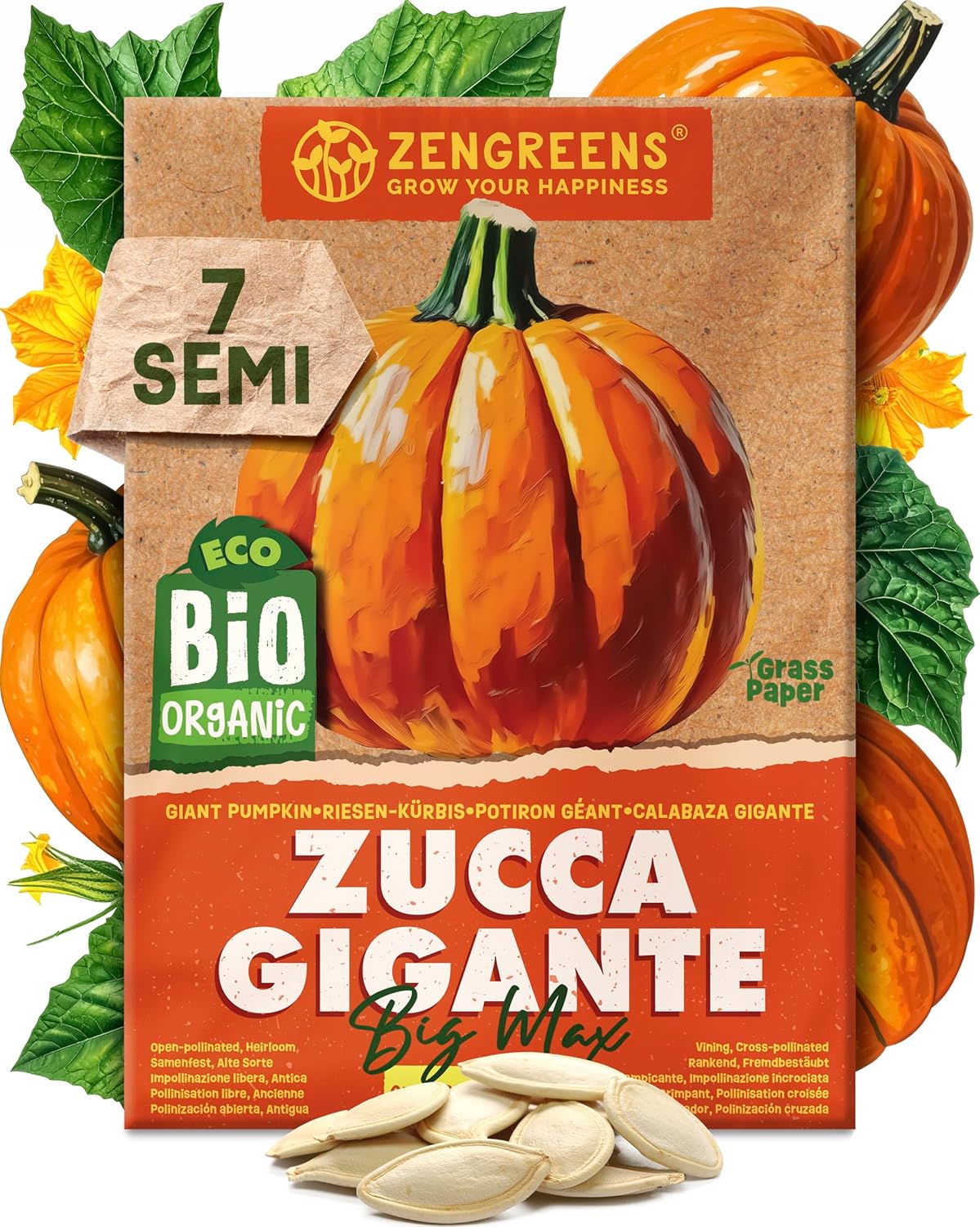 Set di Semi Bio Erbe Aromatiche e Ortaggi (100 pezzi) - immagine 27