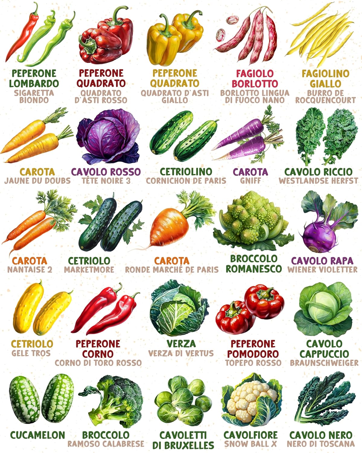 Set di Semi Bio Erbe Aromatiche e Ortaggi (100 pezzi) - immagine 5