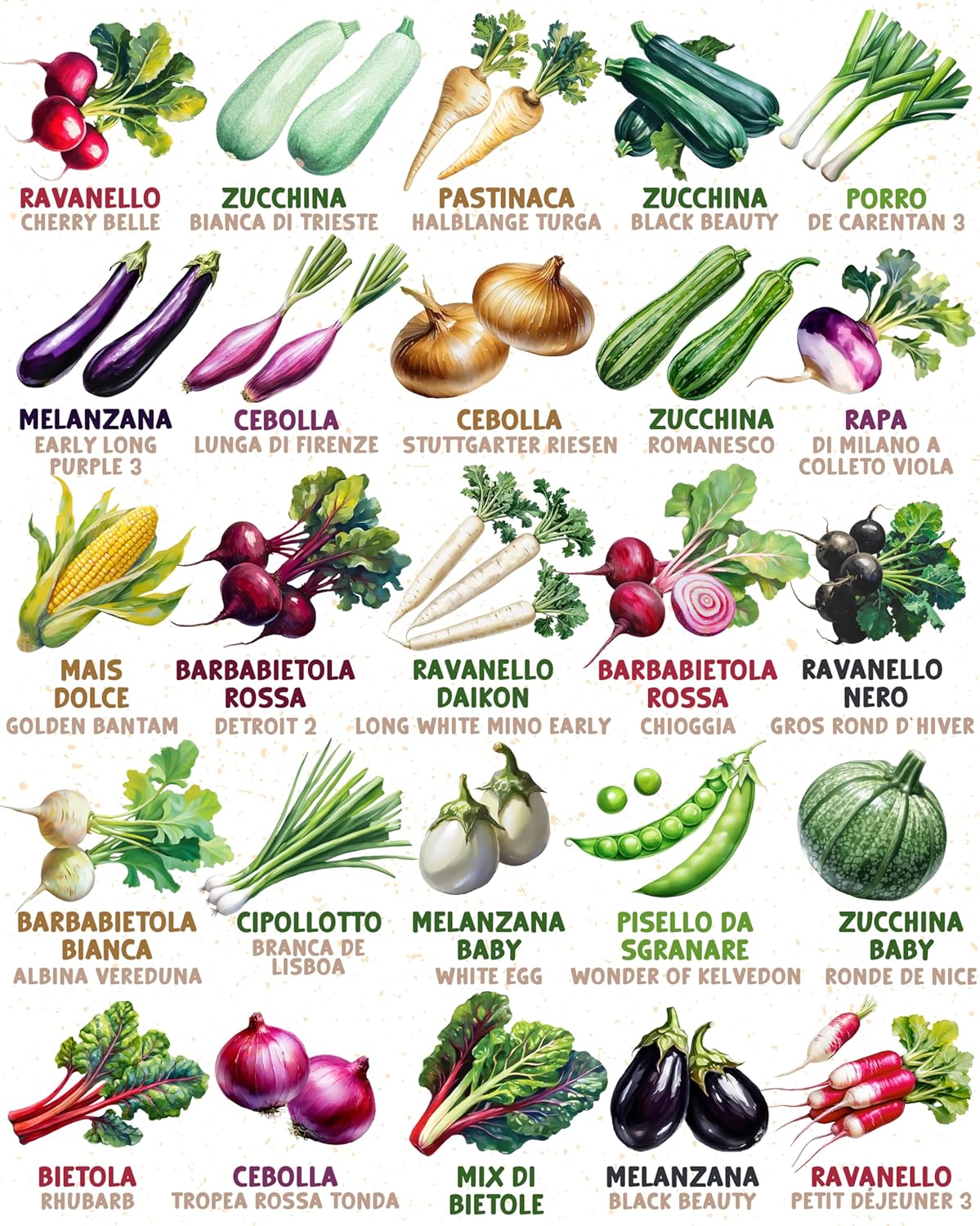 Set di Semi Bio Erbe Aromatiche e Ortaggi (100 pezzi) - immagine 6