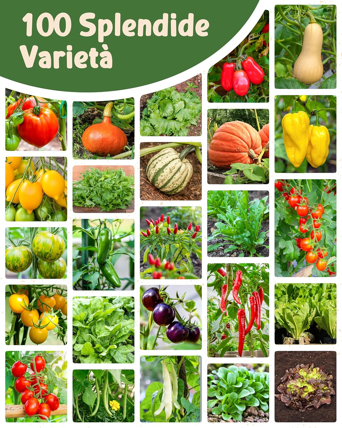 Set di Semi Bio Erbe Aromatiche e Ortaggi (100 pezzi) - immagine 9