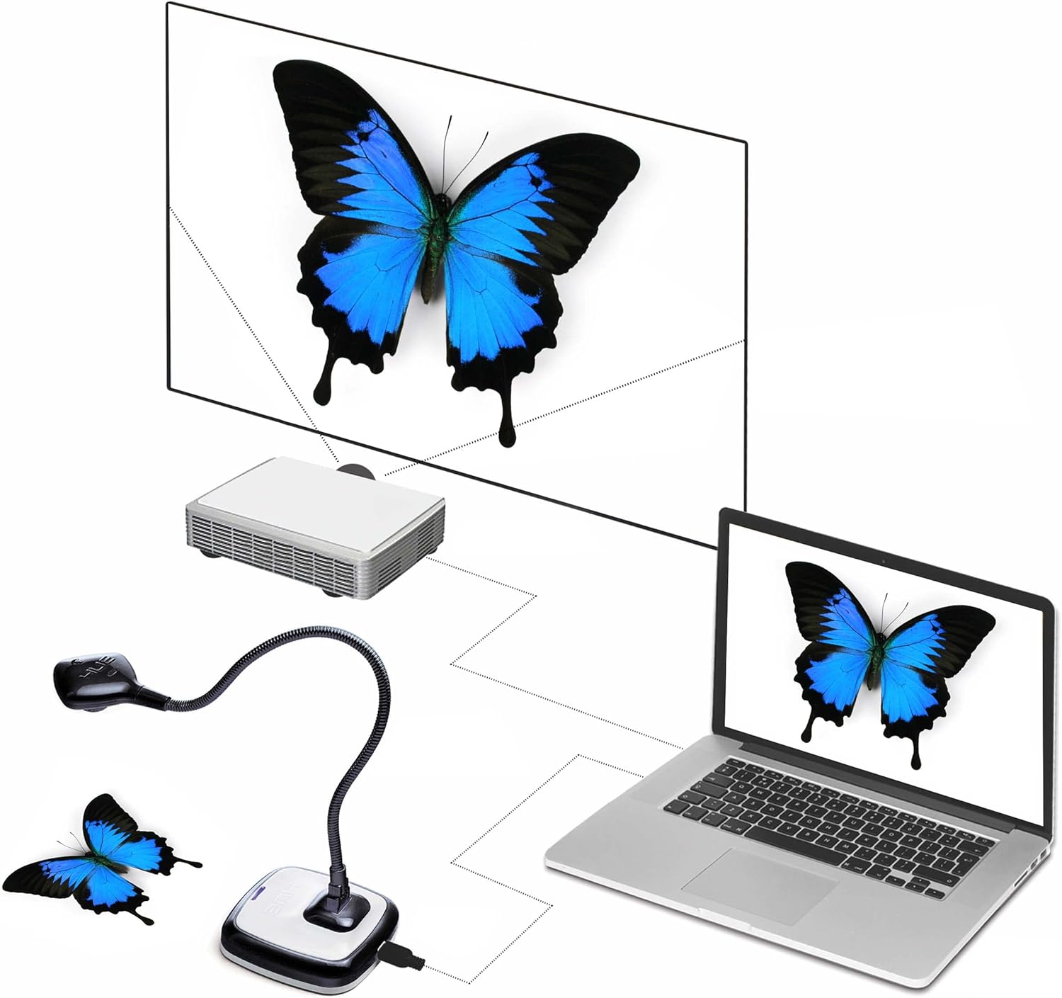 HUE HD Pro - Visualizzatore Documenti e Telecamera USB - immagine 2