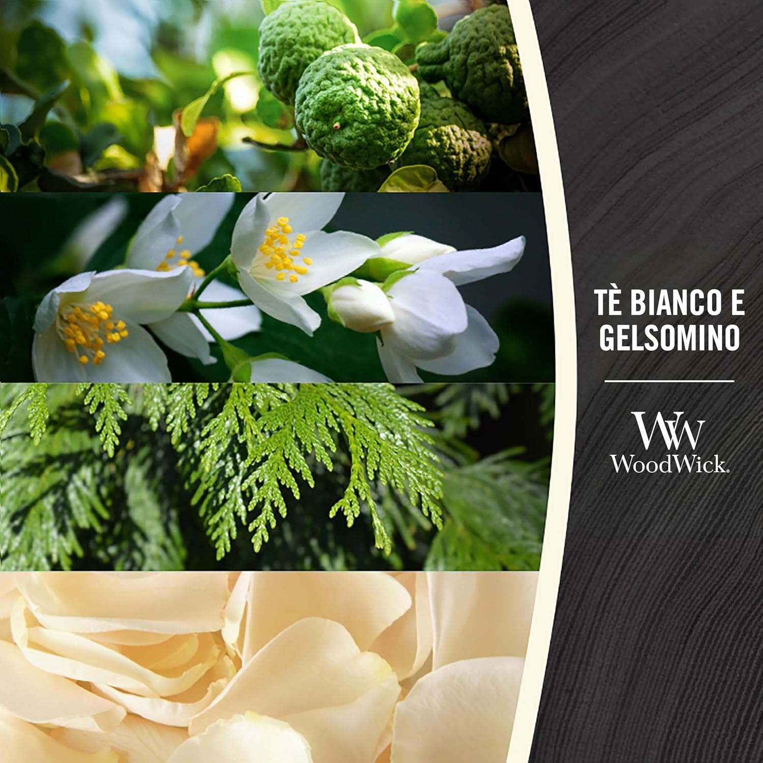 Woodwick Candela Profumata Tè Bianco e Gelsomino - immagine 2