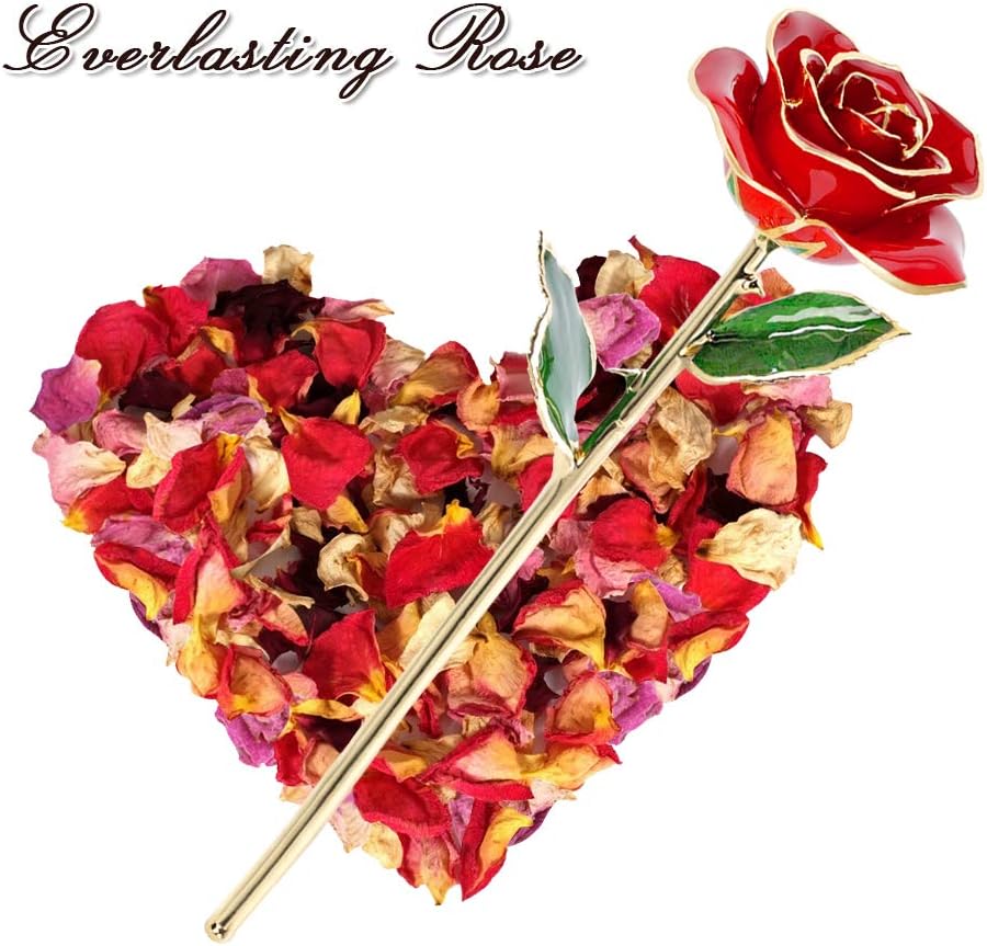 Ejoyous Rosa in Oro 24K con Supporto - immagine 3