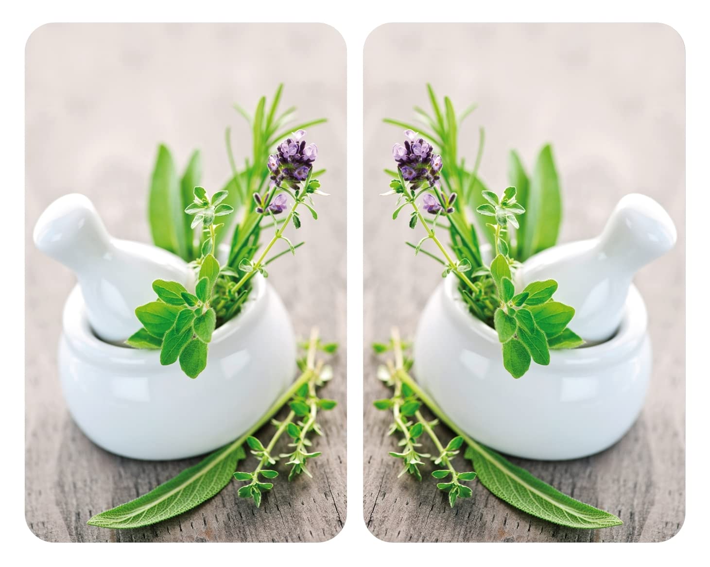 Wenko Coprifornelli Universale Giardino di Erbe 2 Pezzi