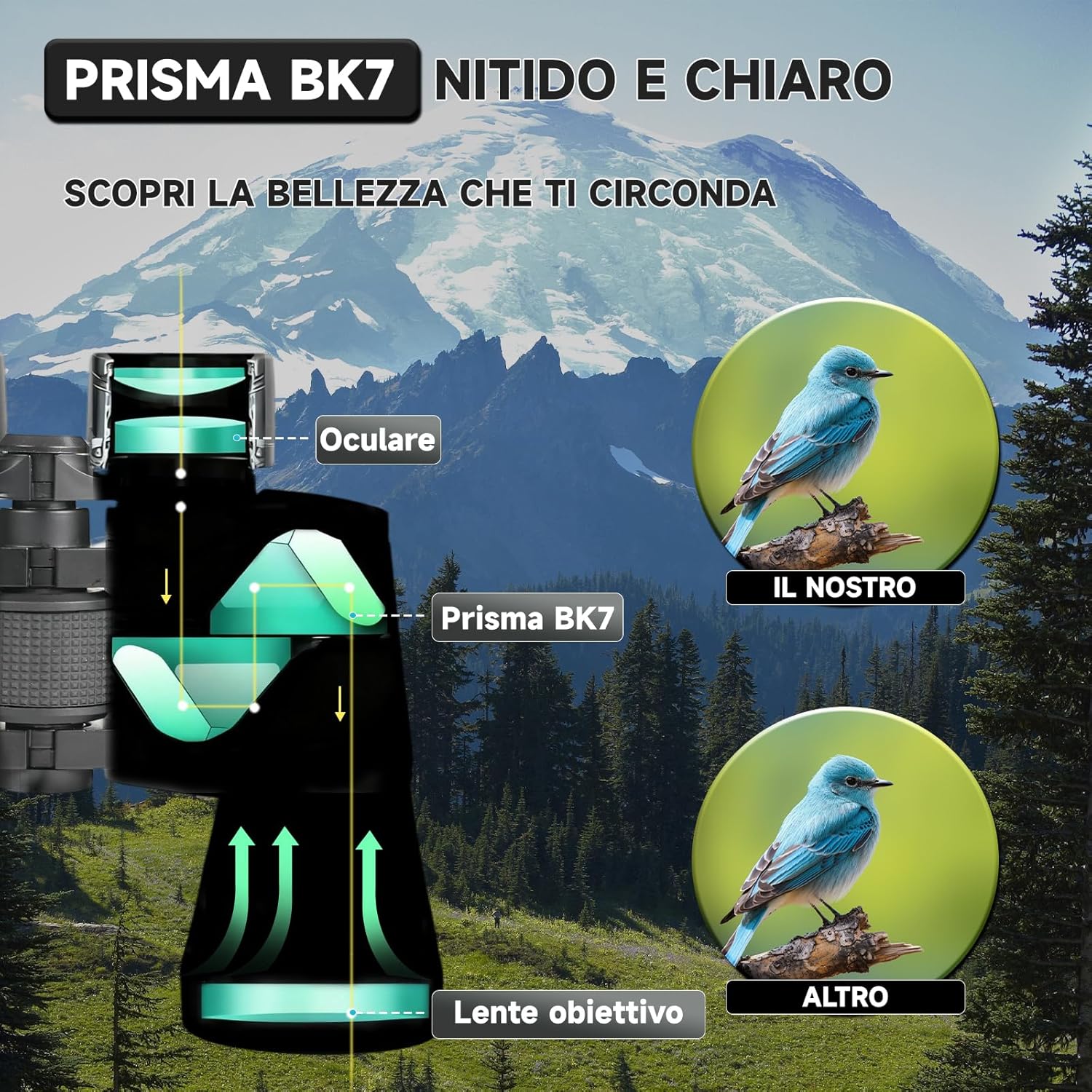 Binocolo Professionale HD 10x50 Prisma PORRO - immagine 5