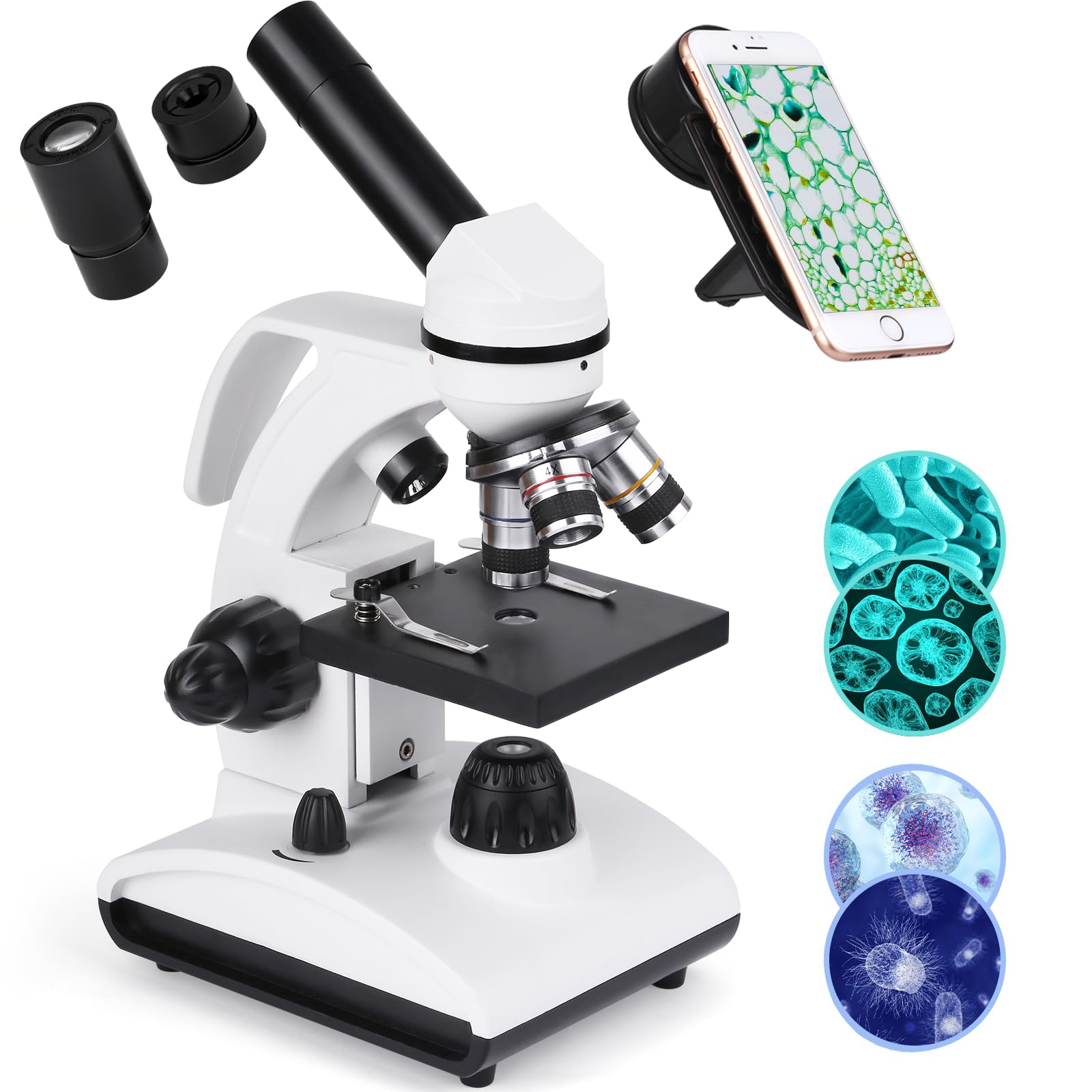 Microscopio Professionale per Adulti