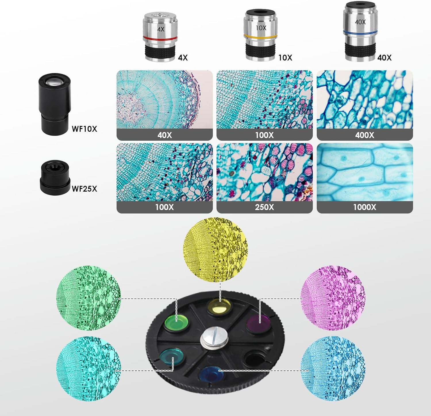 Microscopio Professionale per Adulti - immagine 6