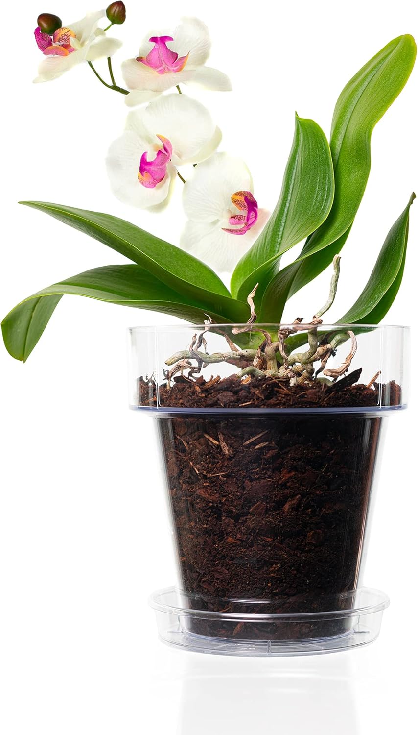 Kalapanta Kit per Rinvasare Le Orchidee - immagine 2