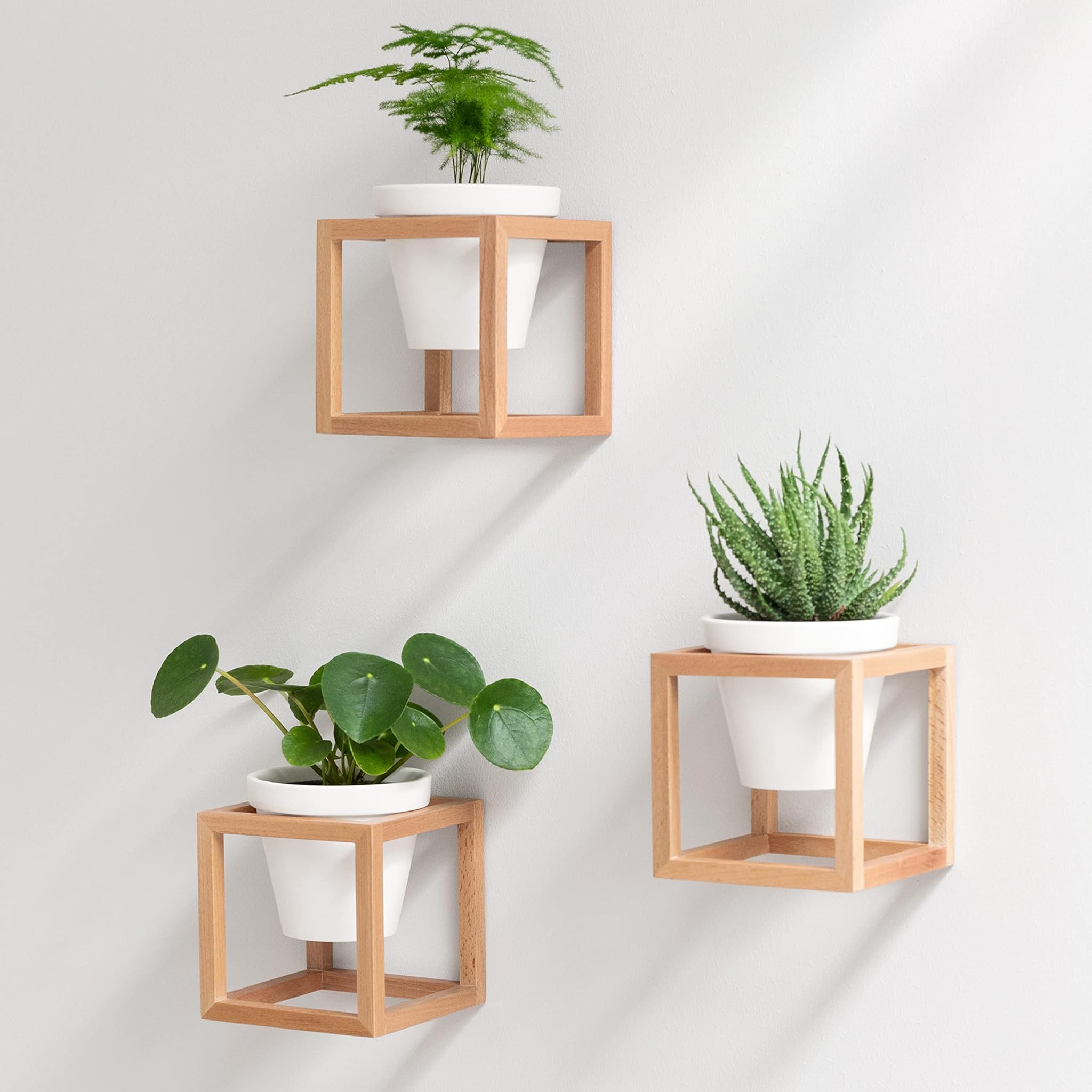 Kazai. Fioriere da Parete -Lille- in Legno Massello