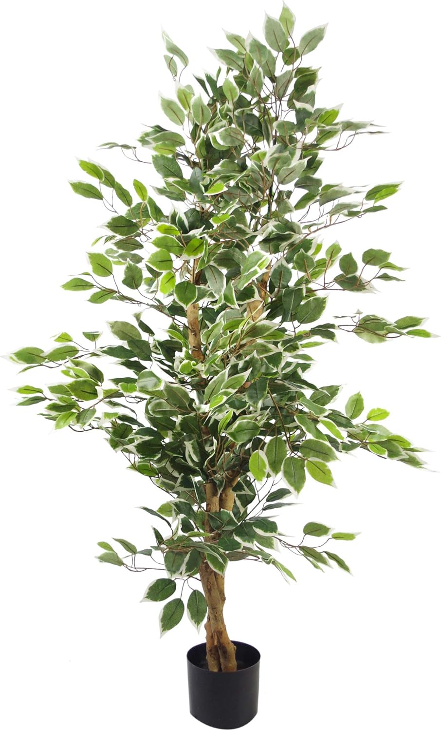 Leaf Artificial Ficus Tree/Plant Pianta, Bordo Bianco cespuglioso, 120 cm - immagine 1