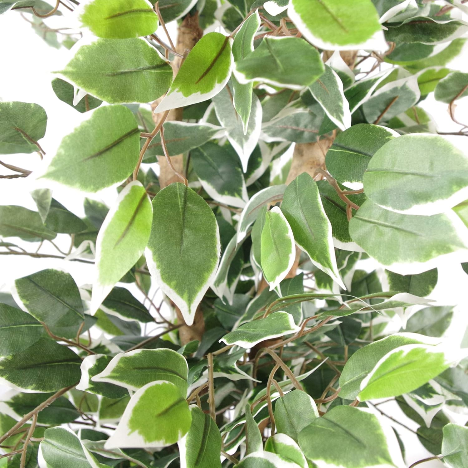 Leaf Artificial Ficus Tree/Plant Pianta, Bordo Bianco cespuglioso, 120 cm - immagine 3