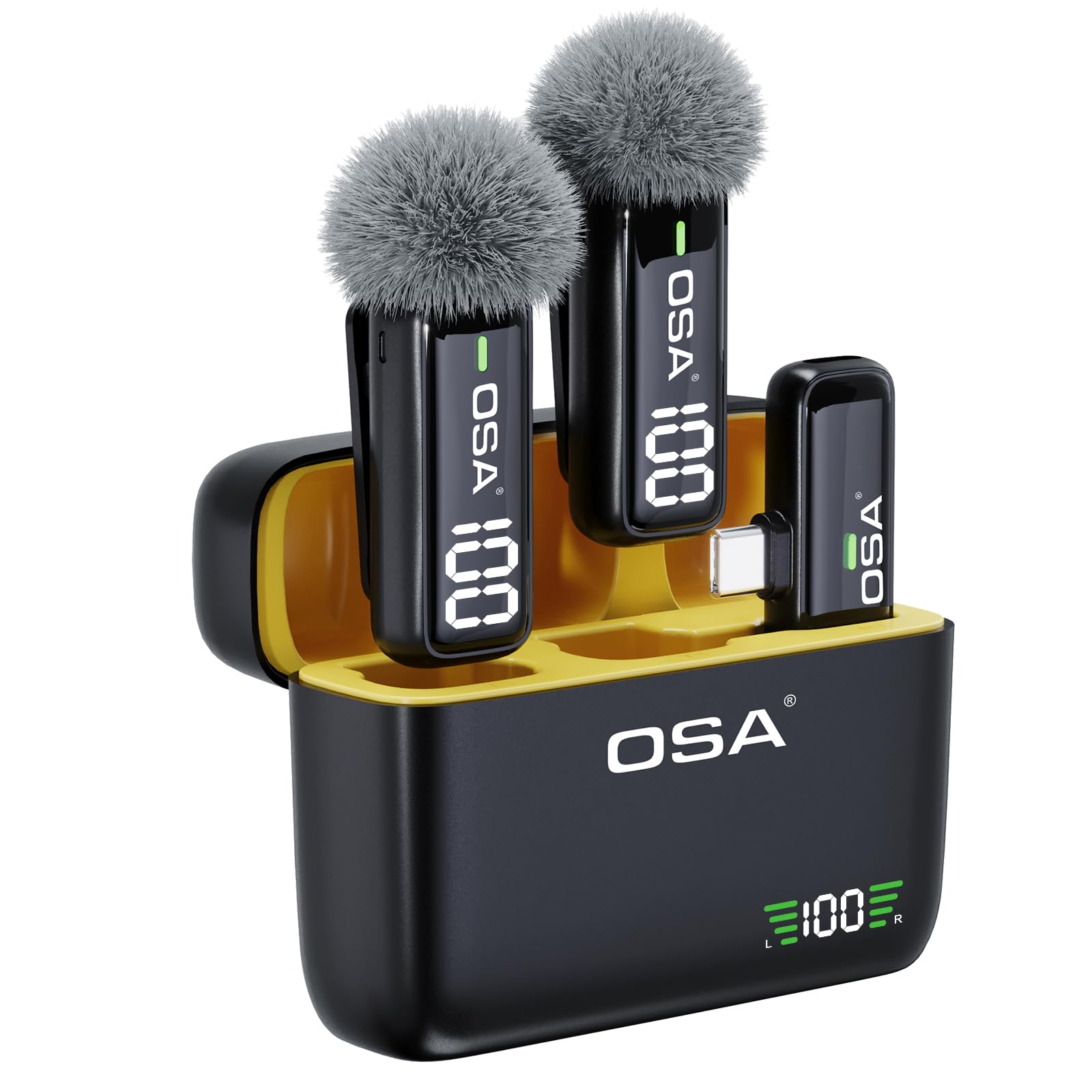 Osa Microfono Wireless con Custodia Ricarica (Tipo C)